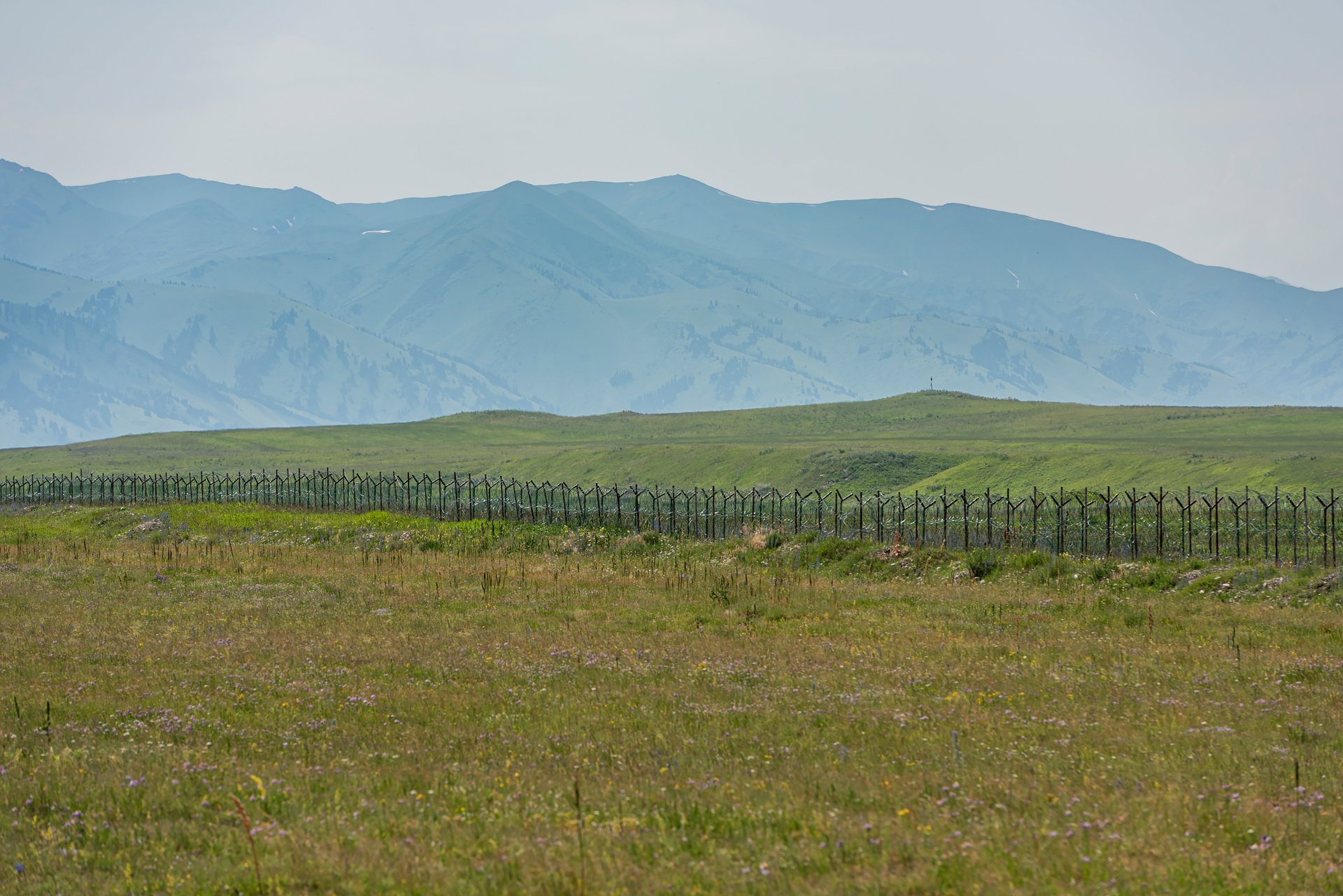 D81_3514.jpg
