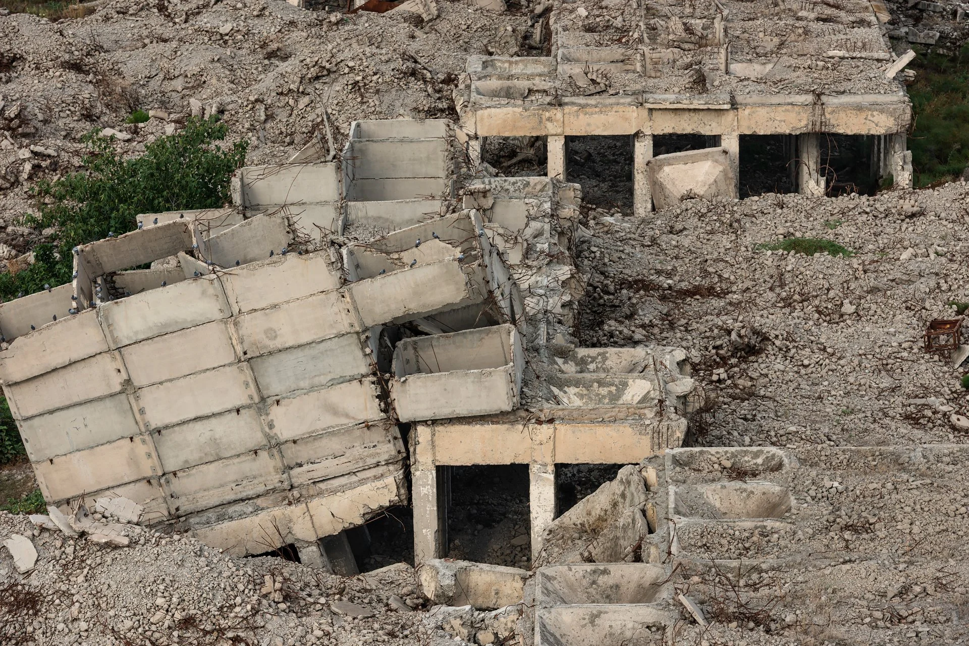 D8A_8484.jpg