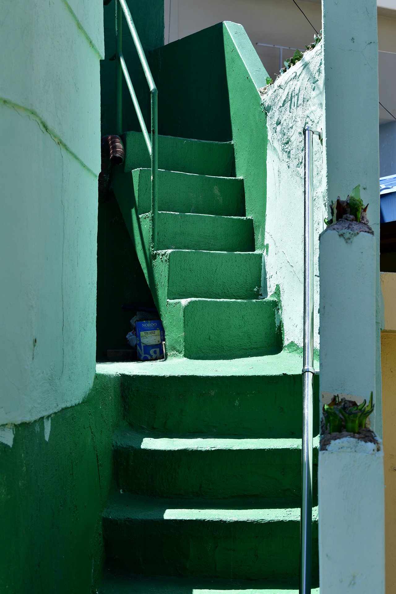 _D8B5895.JPG