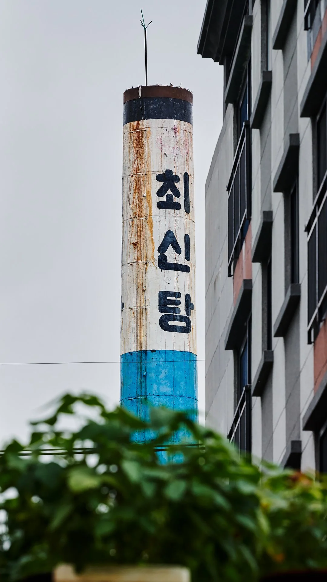 _D8A8068.jpg