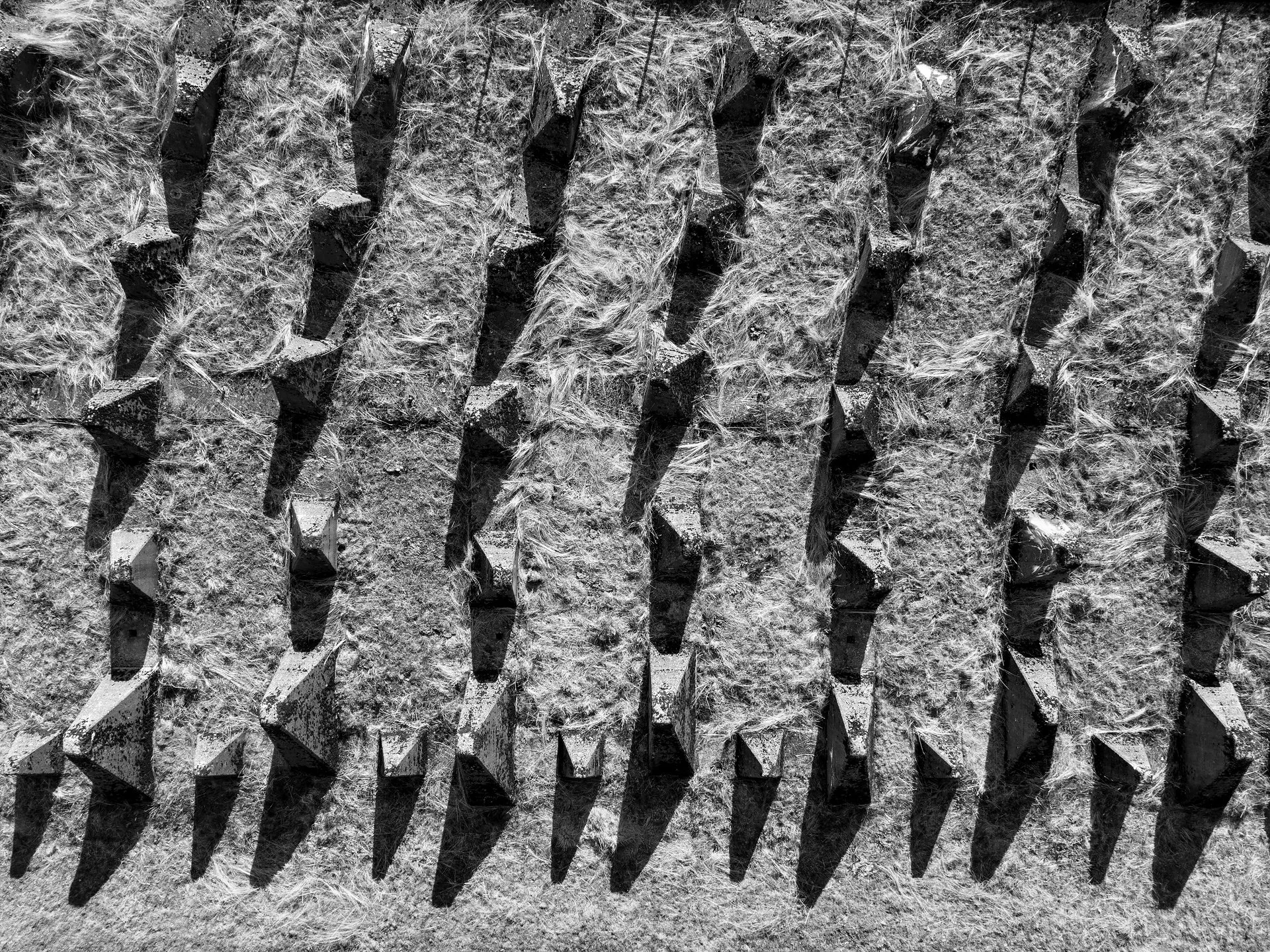 10_DJI_0220.jpg