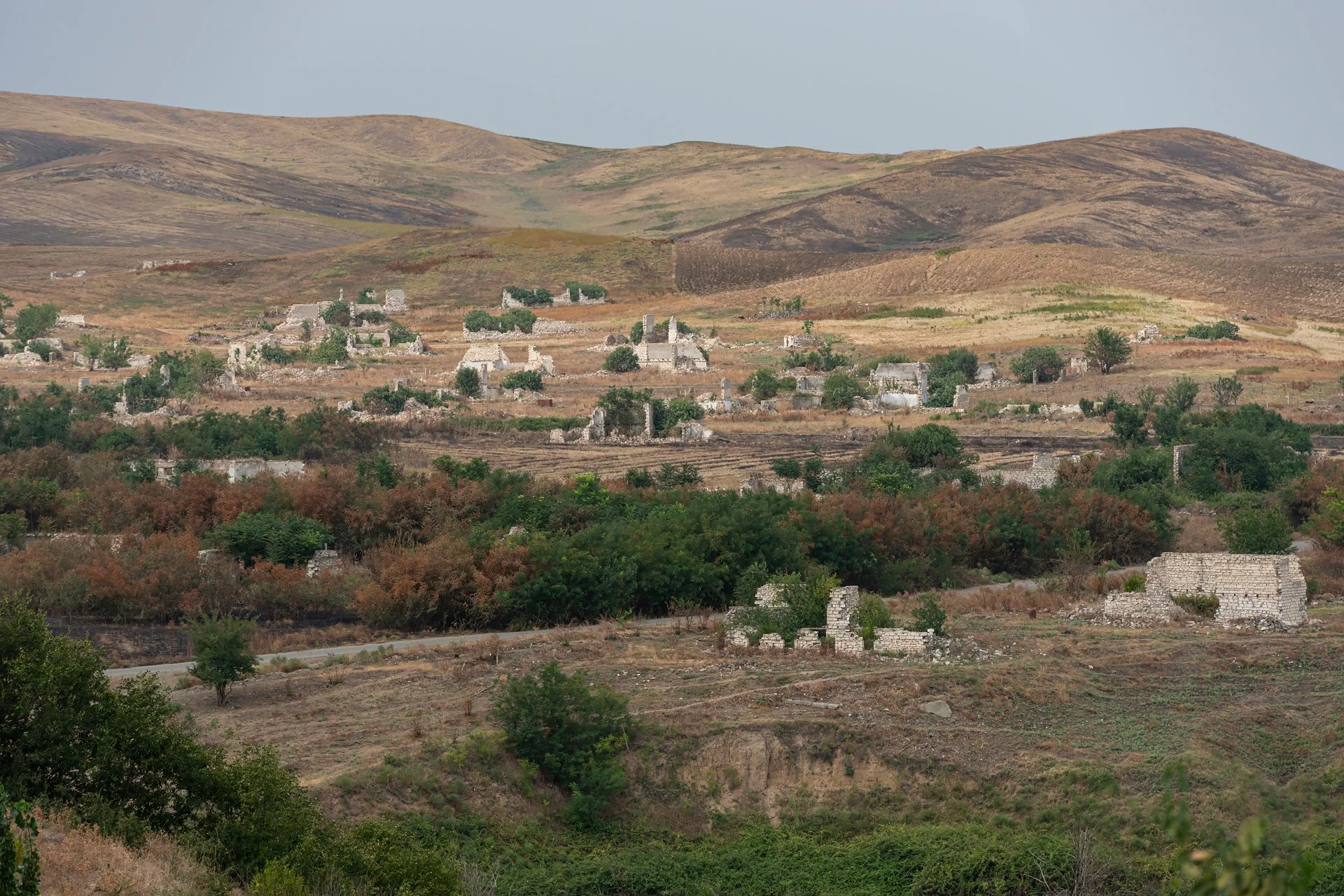D8A_7949.jpg