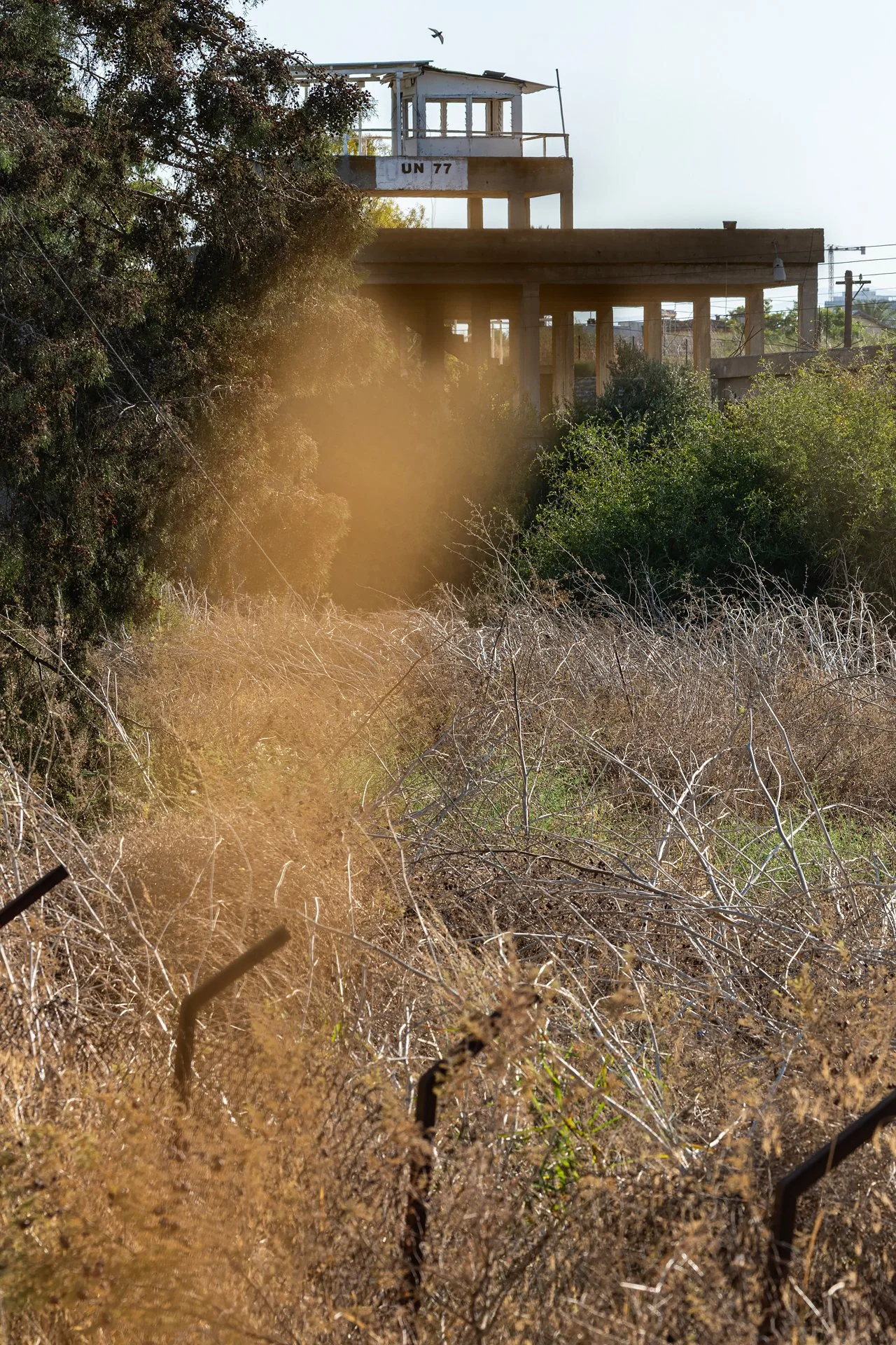 _D8B6465.jpg