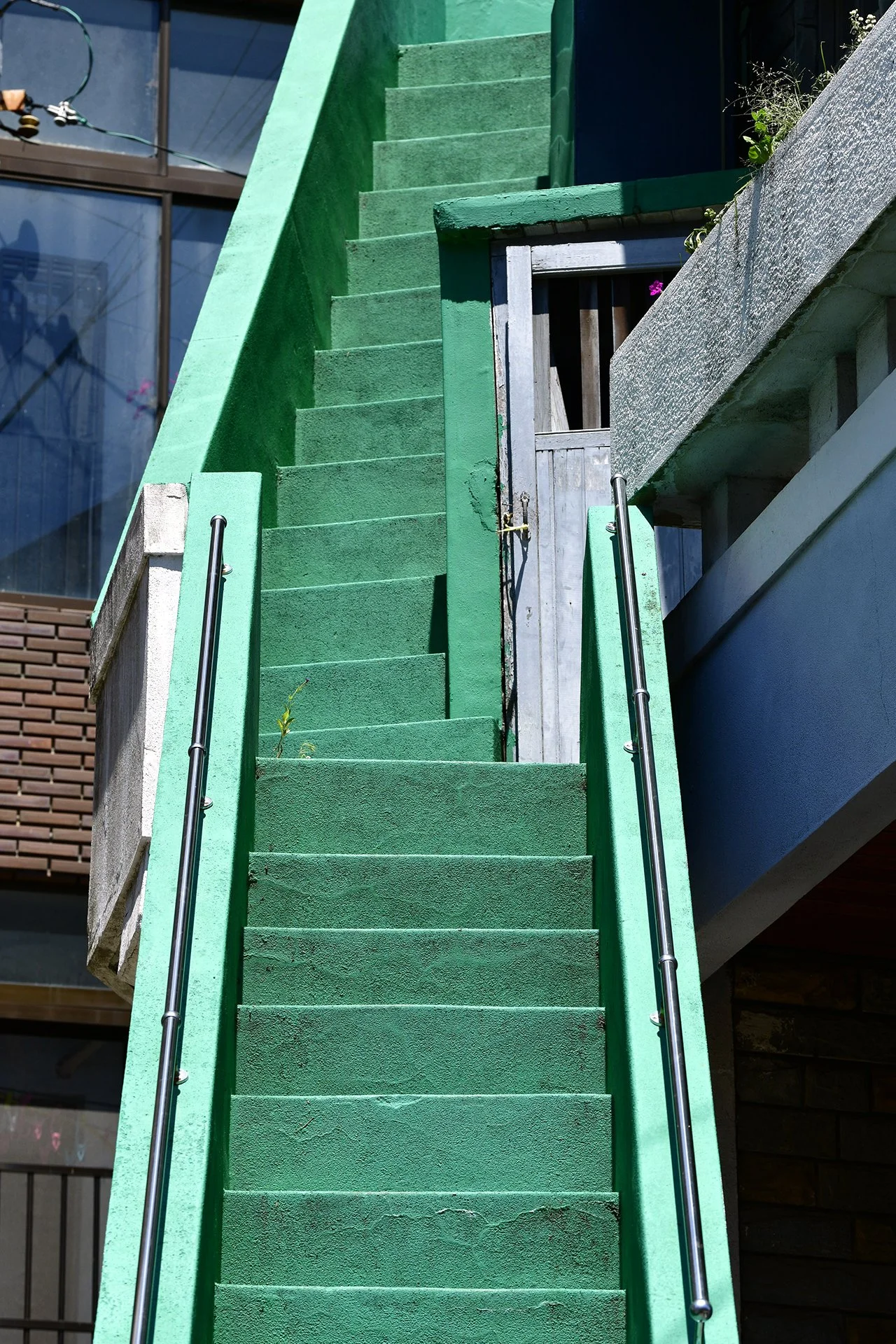 _D8B6037.JPG