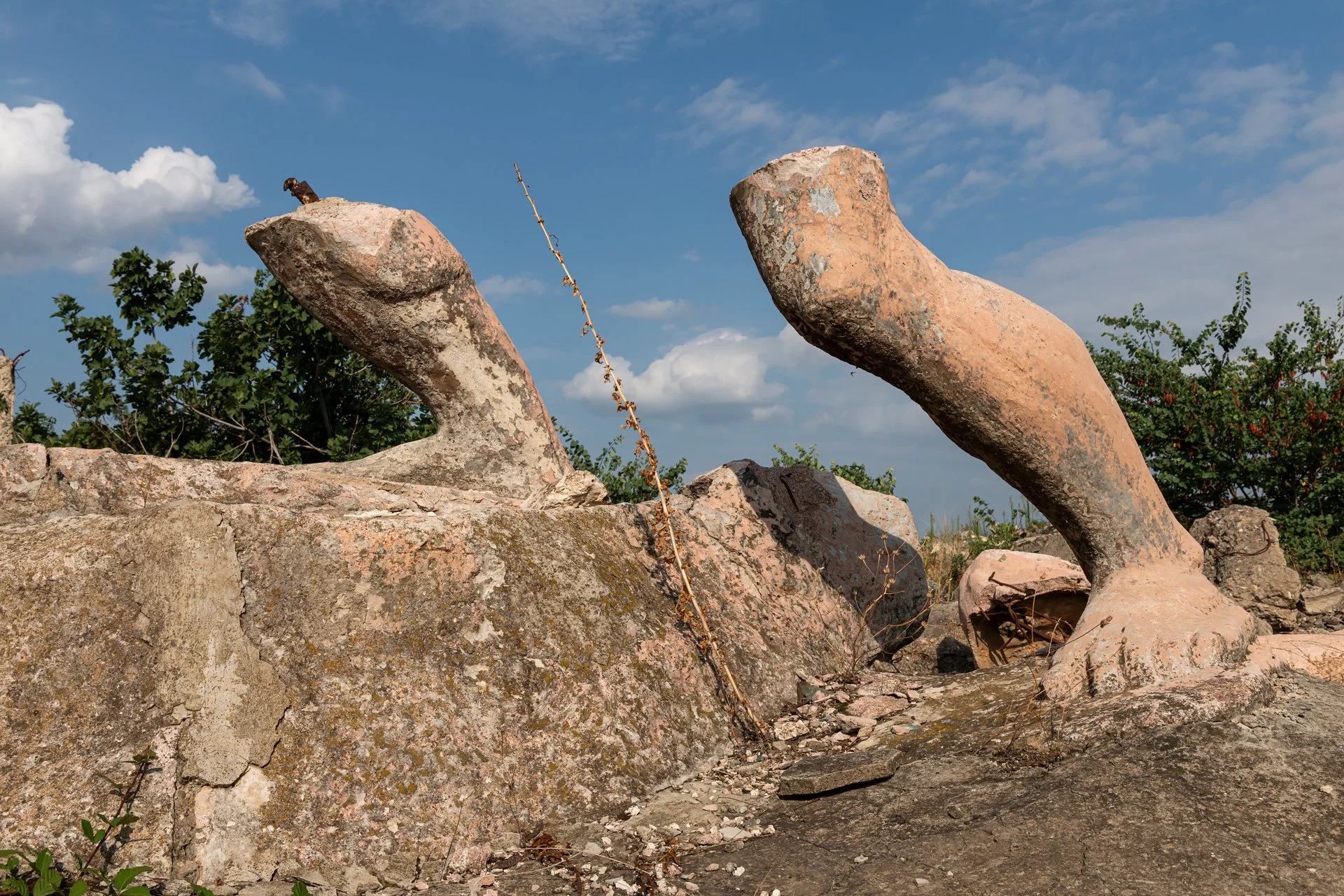 D8B_6498.jpg