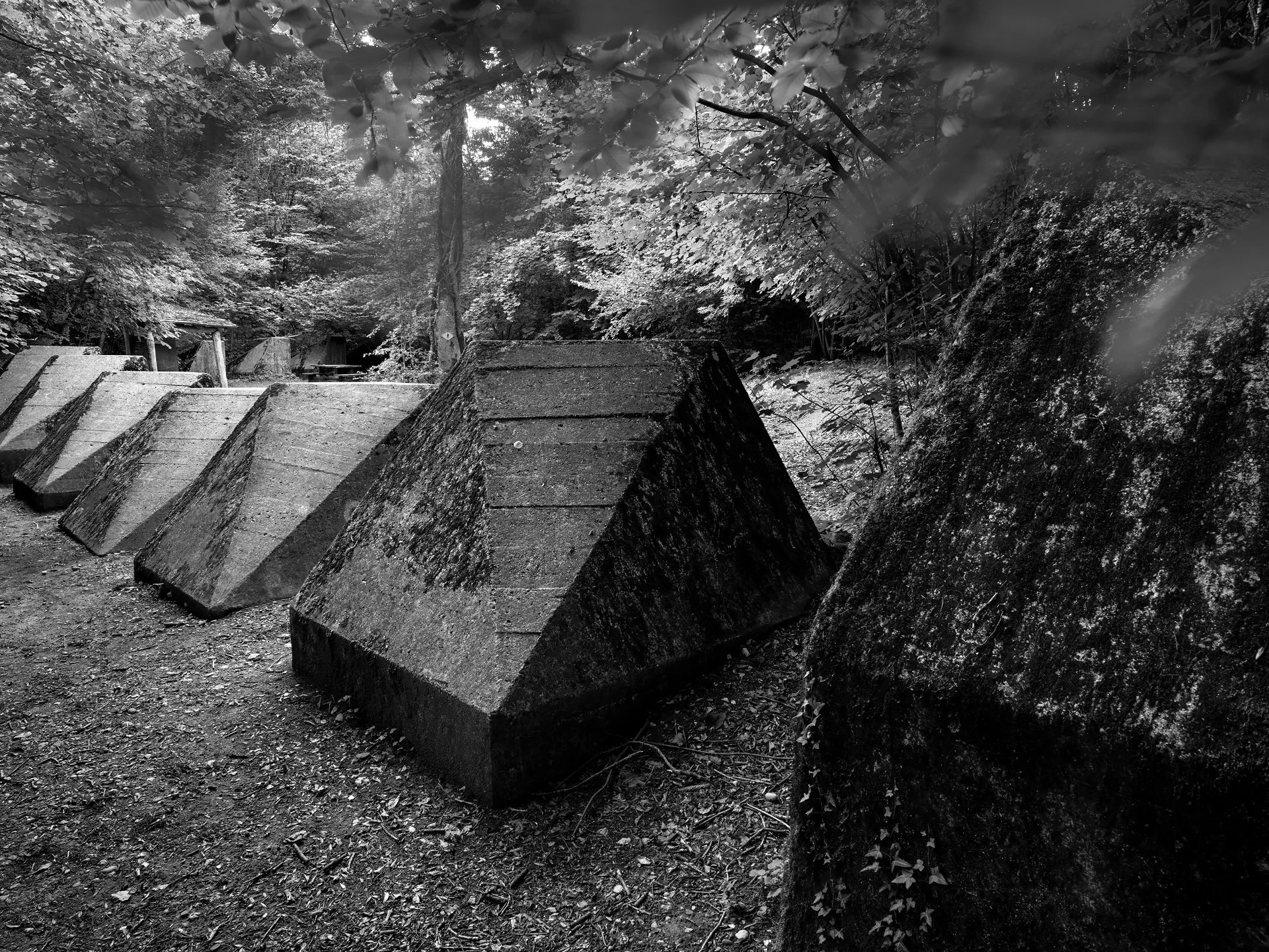 25_D85_3523.jpg
