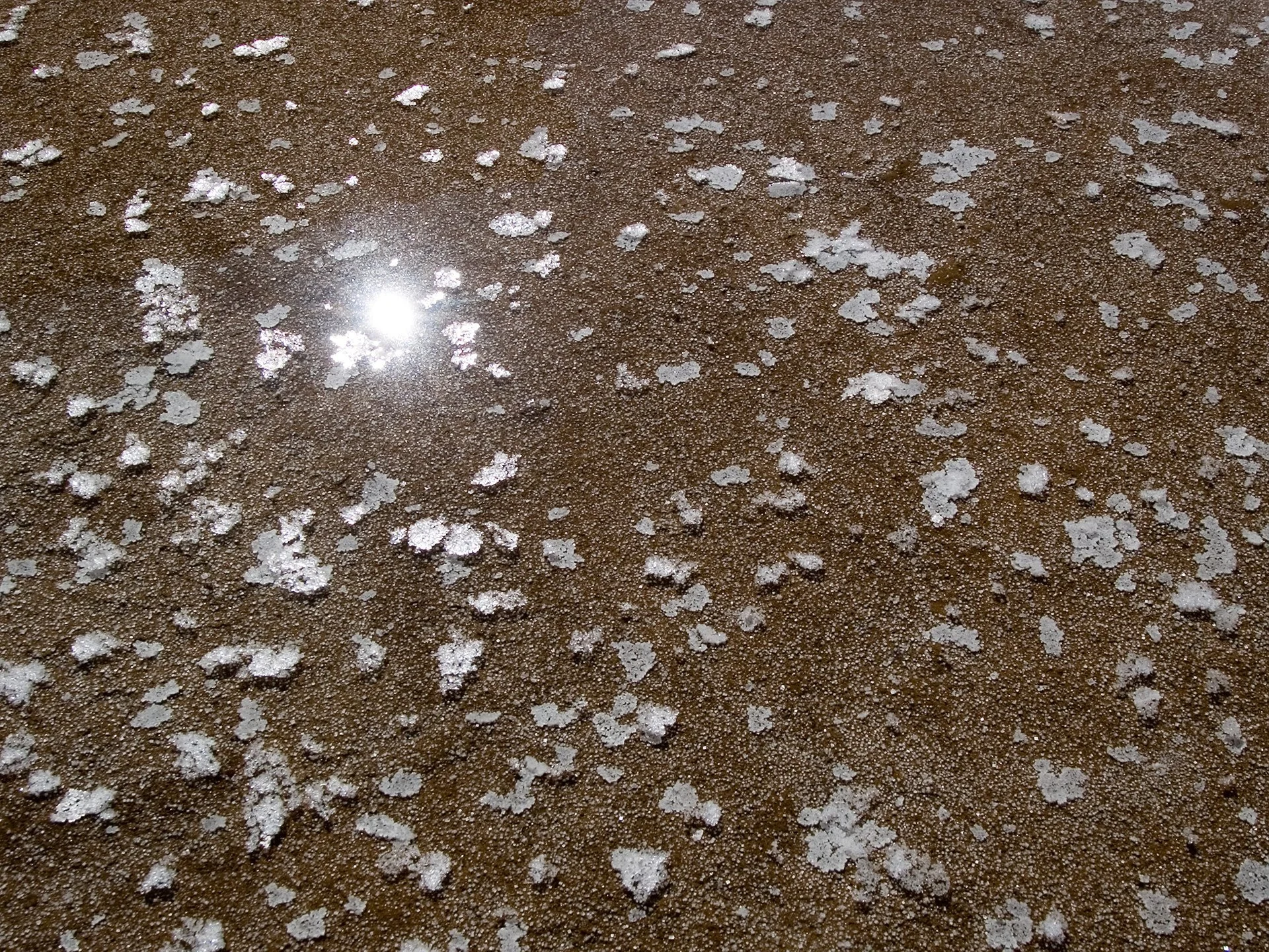 P2085448.jpg