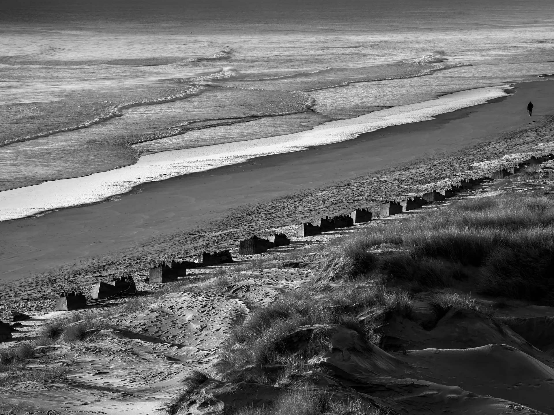 106_D8A_5330.jpg
