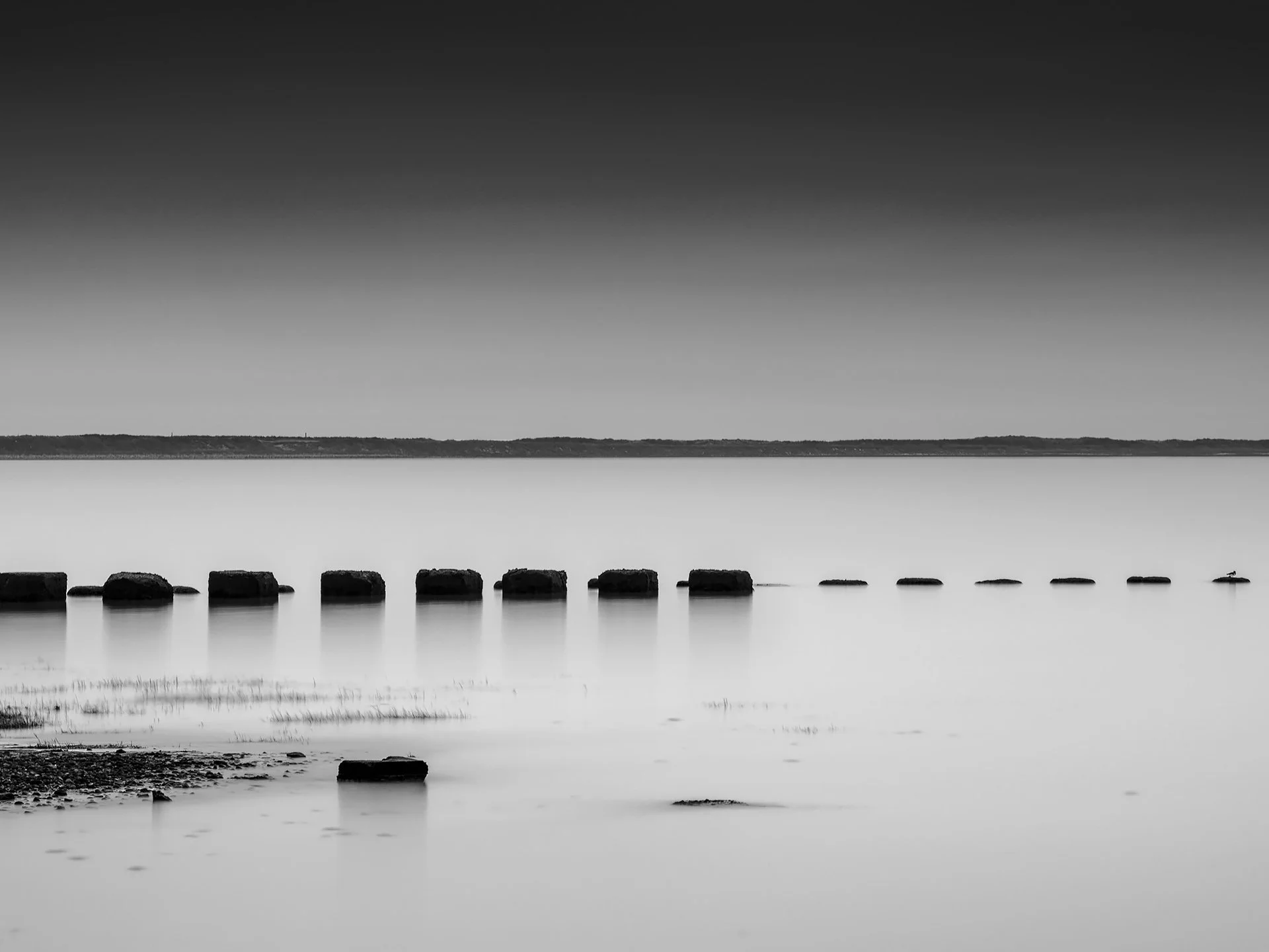 39_D85_1665.jpg