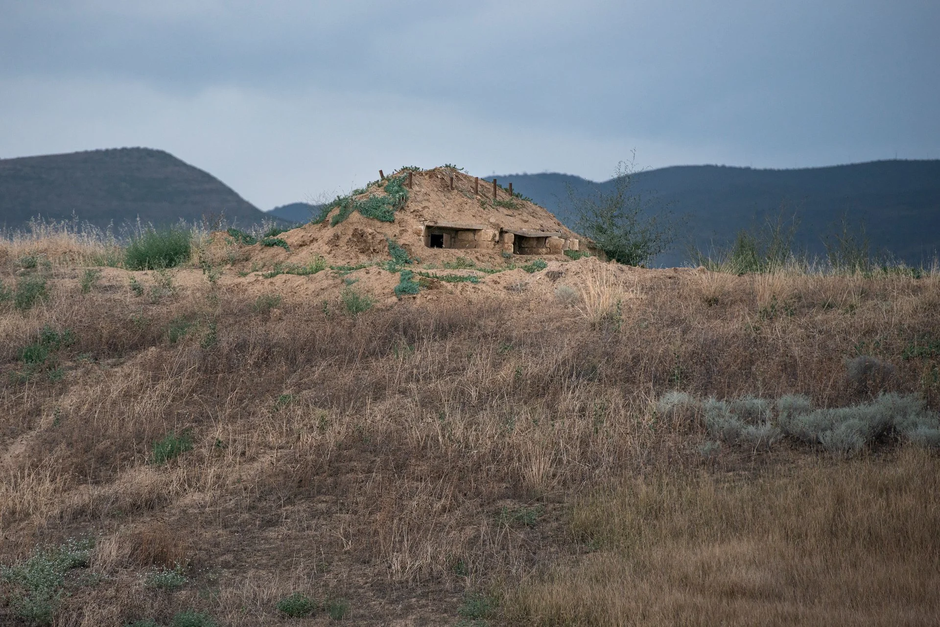 D8A_8087.jpg