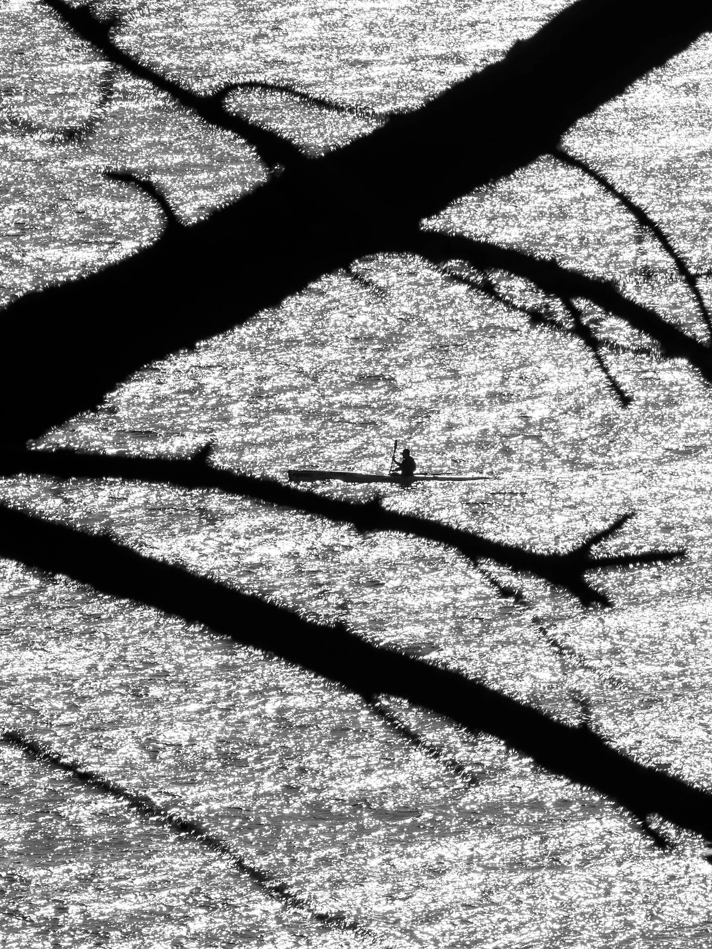 _Z7A3744.jpg