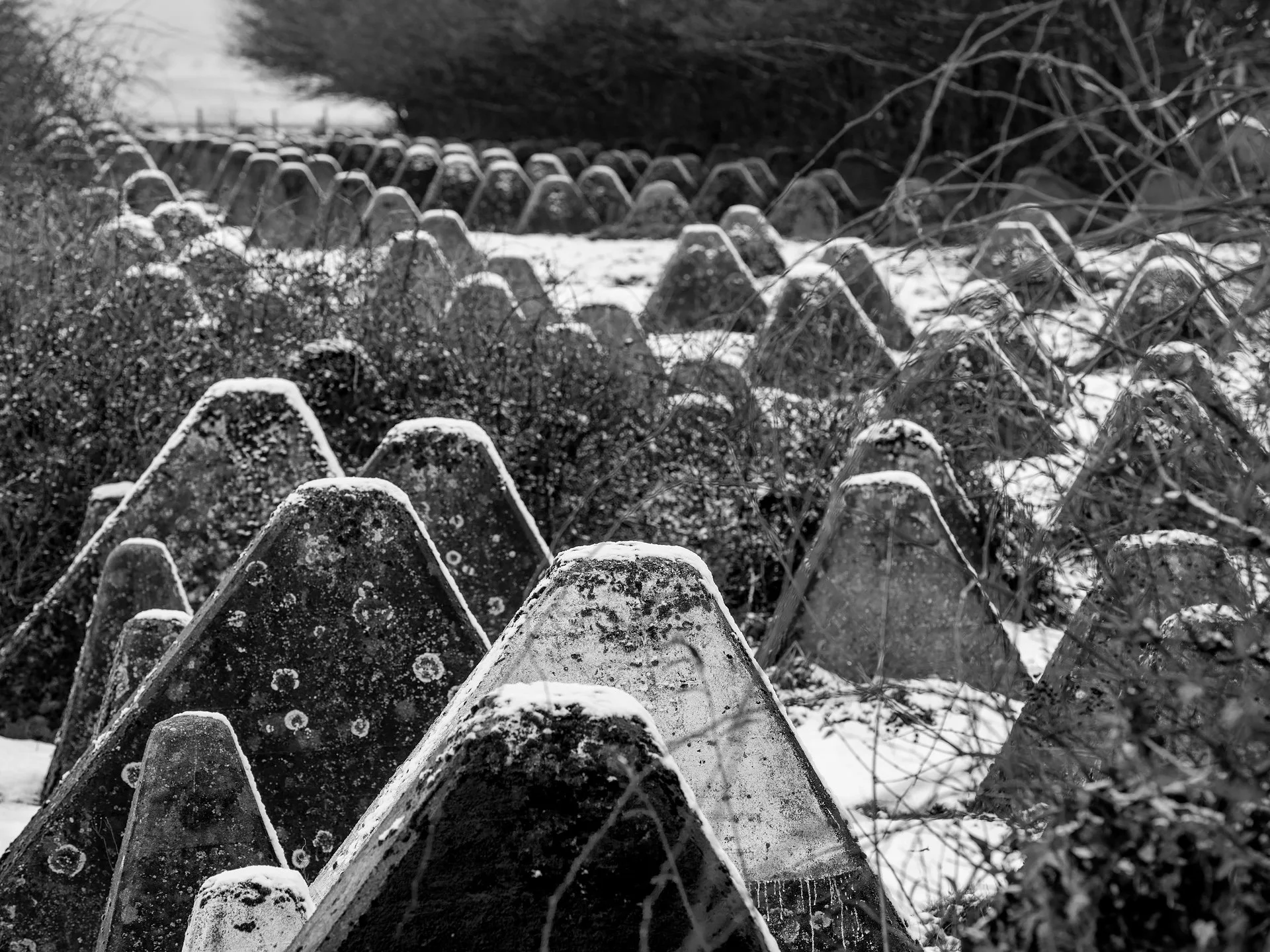 04_D8A_1983.jpg