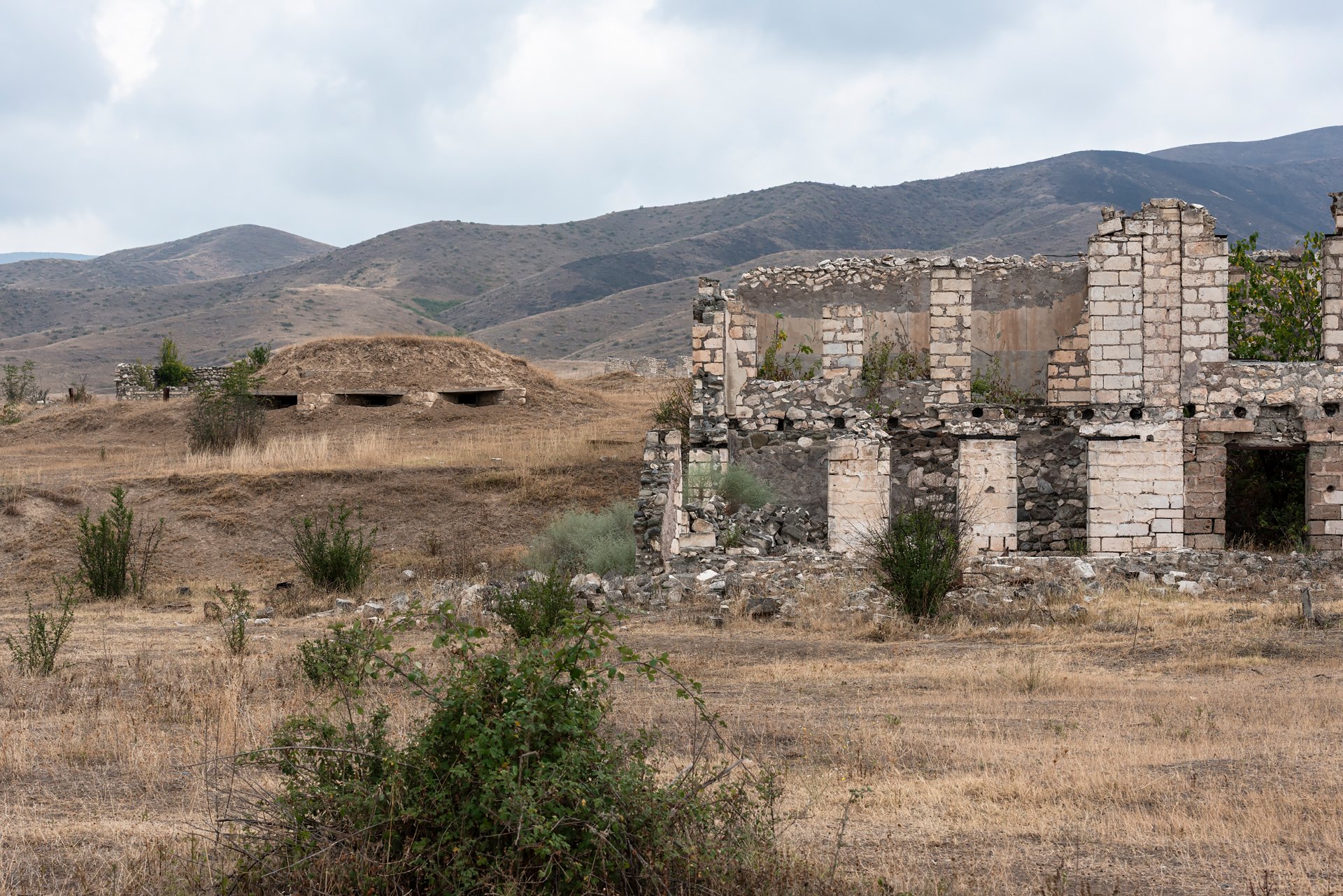 D8A_8144.jpg