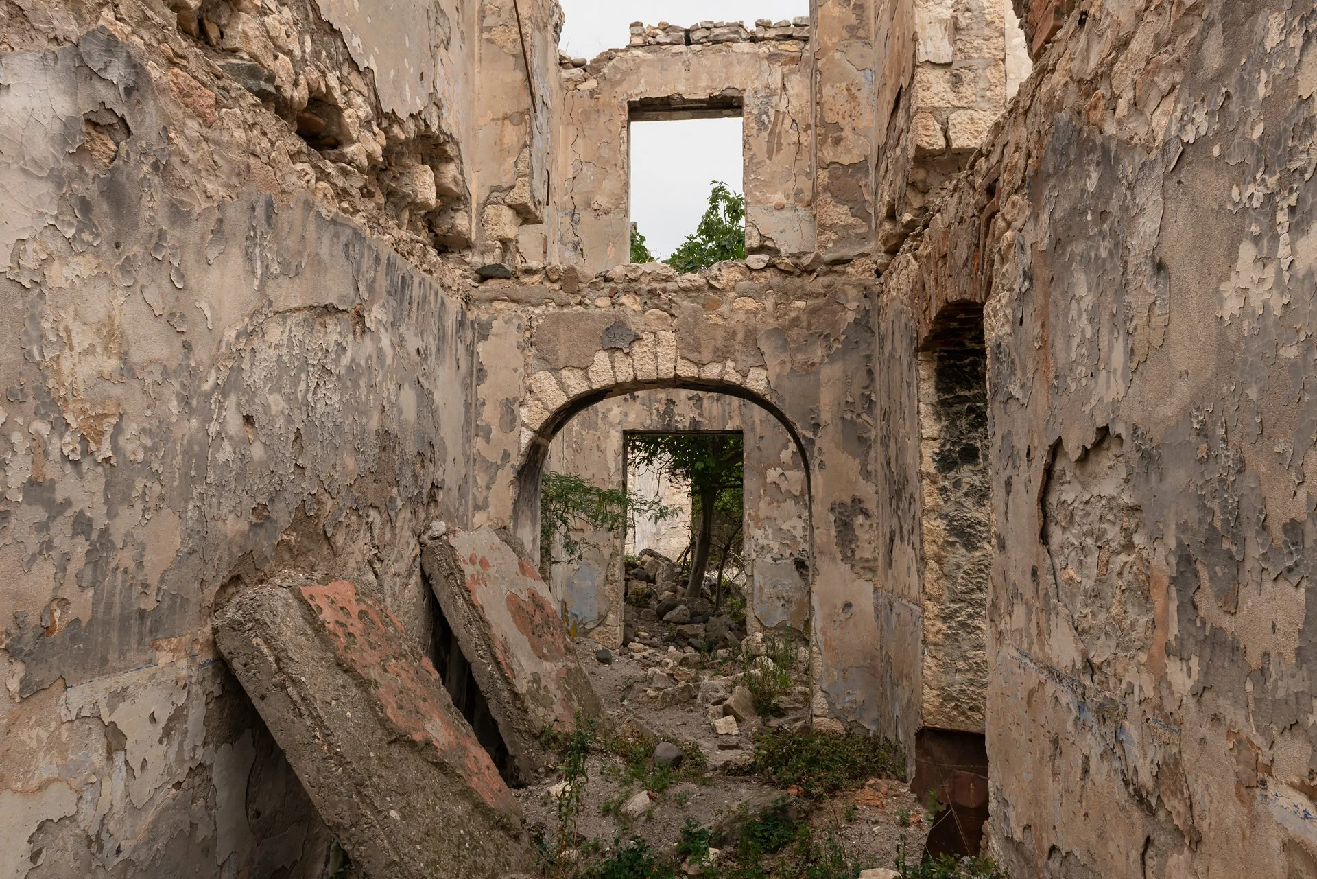 D8B_5590.jpg