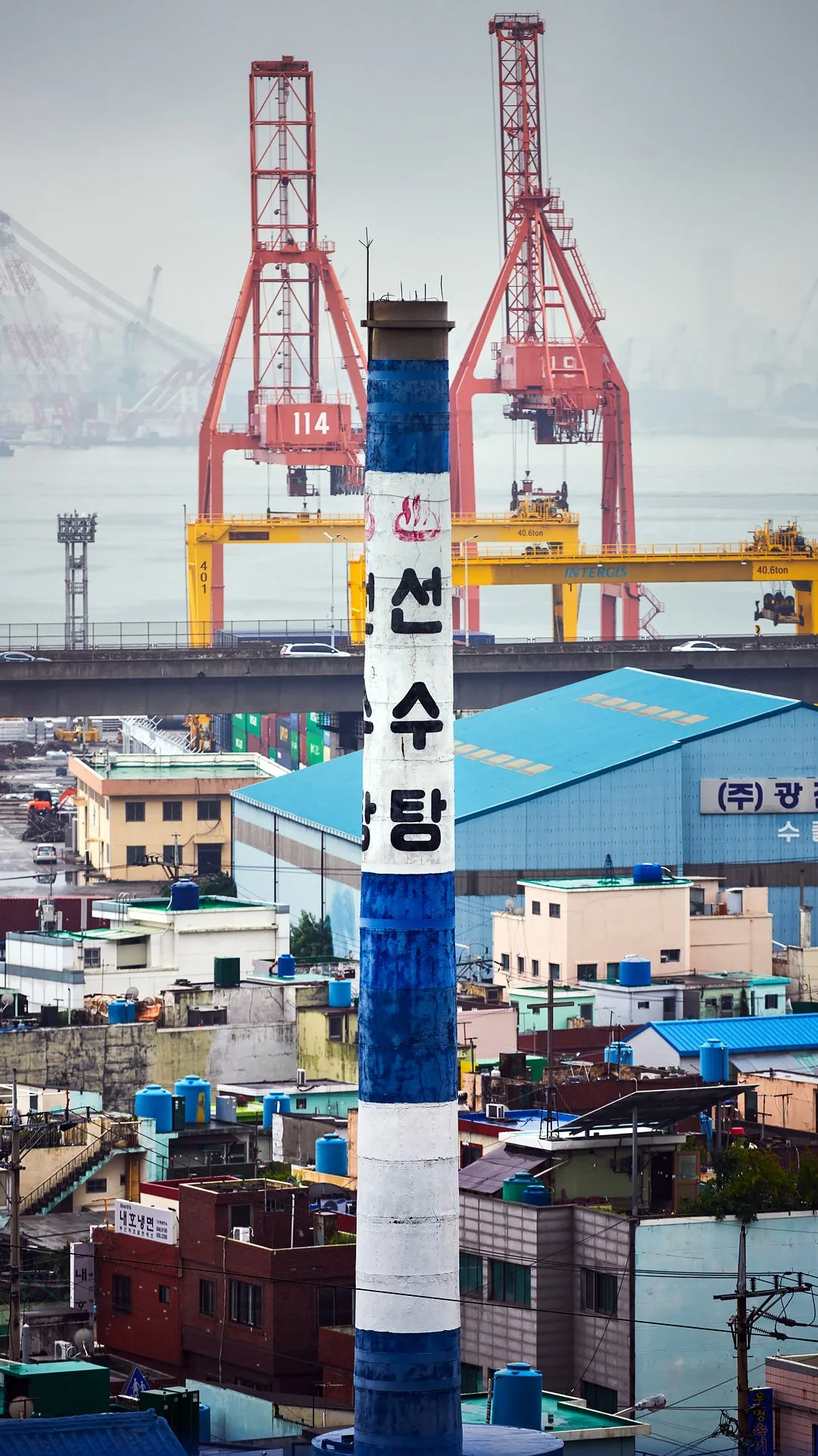_D8B0810.jpg