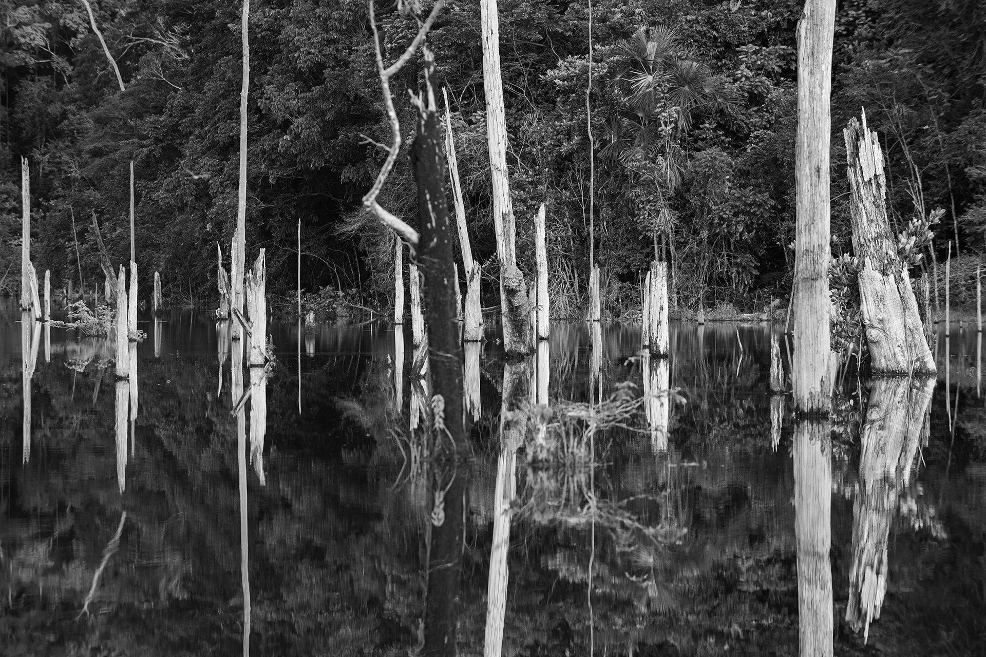 DSC_9050s.jpg