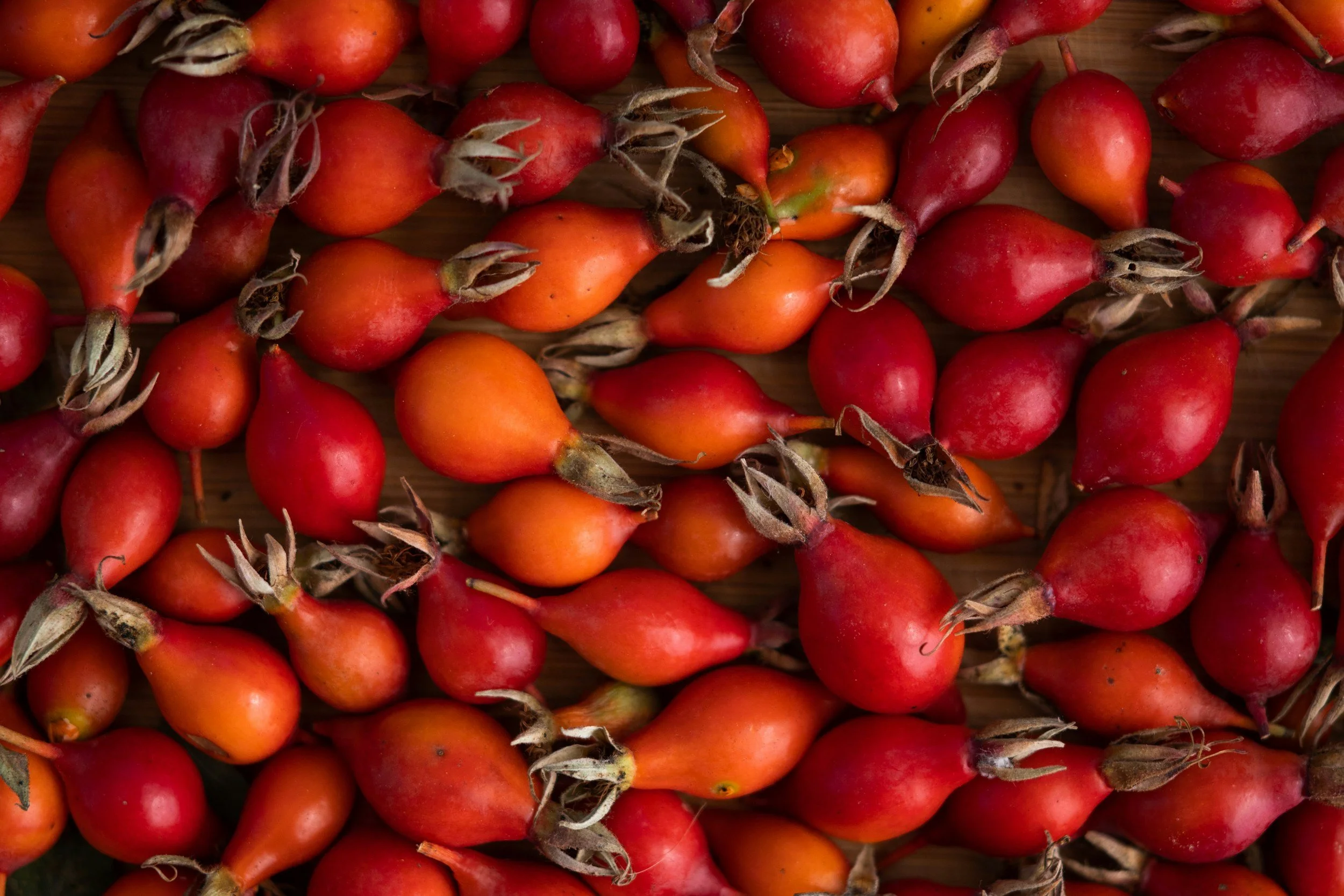 rosehip