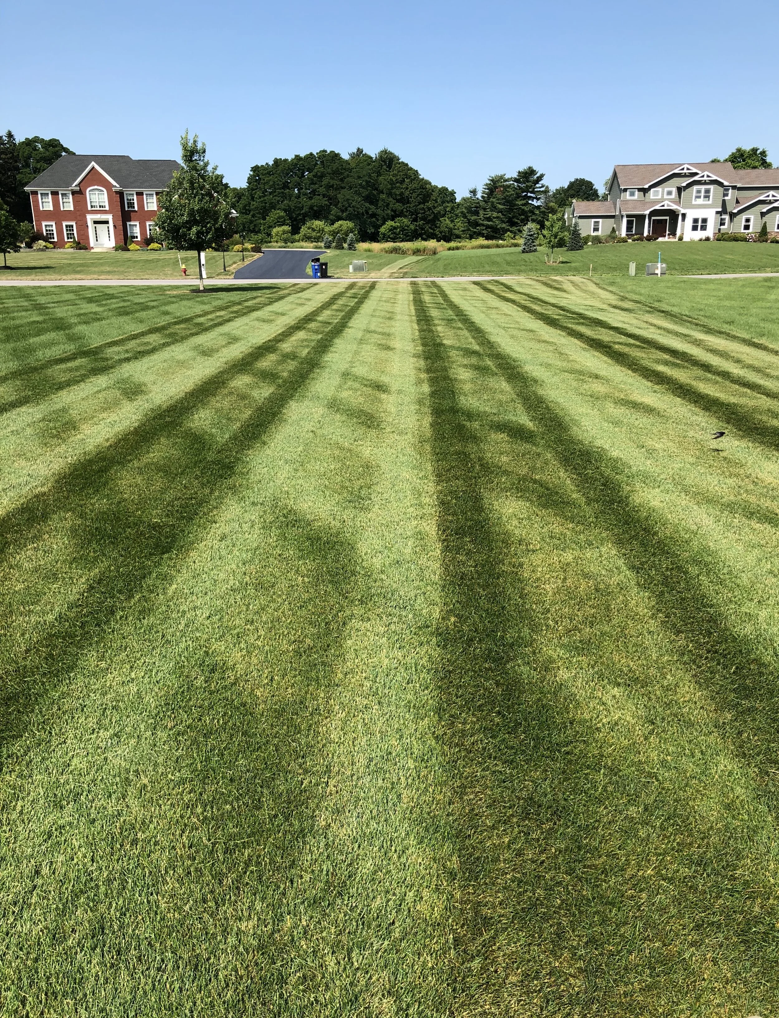 Weekly mowing service