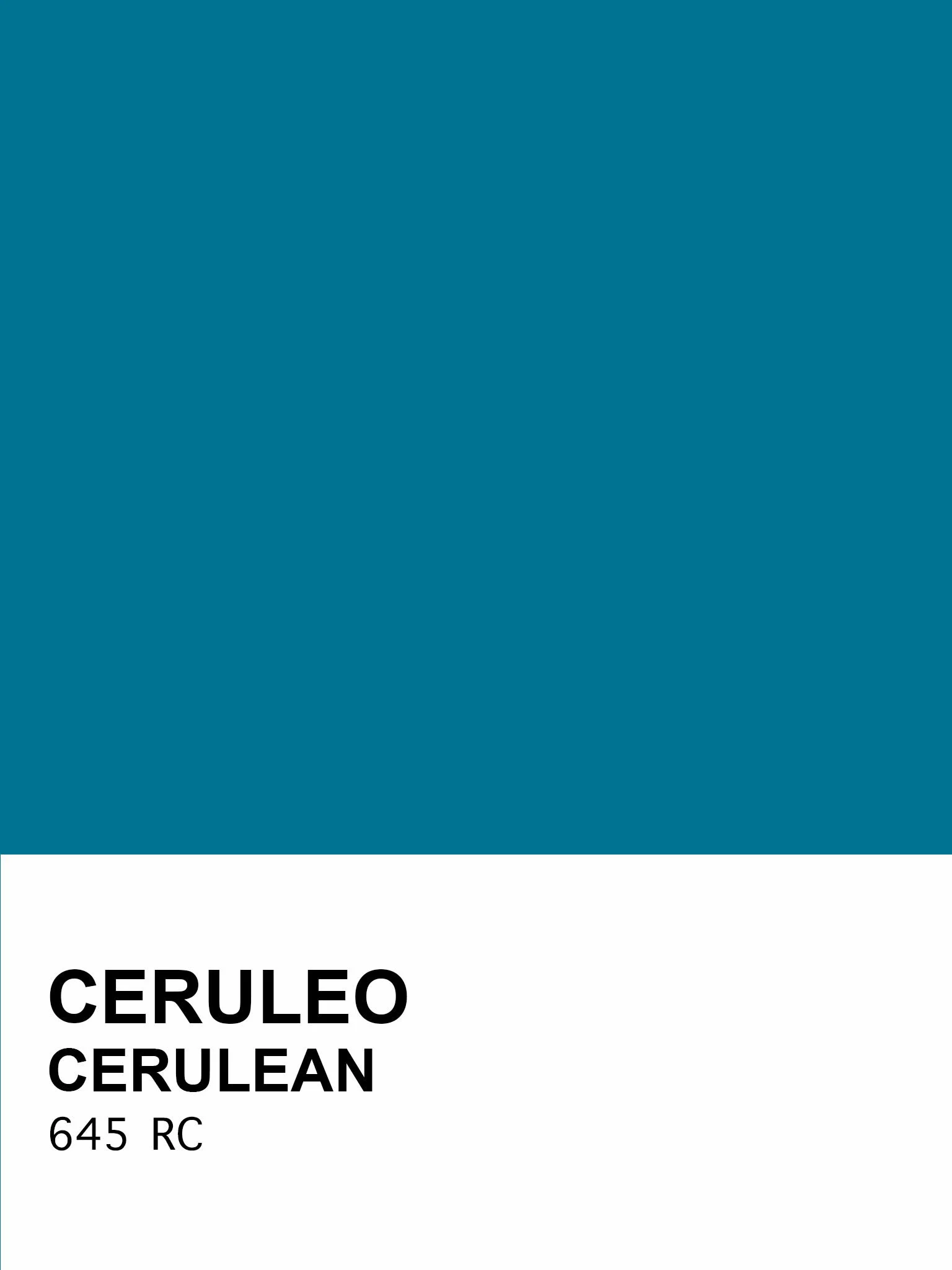 C_645.jpg