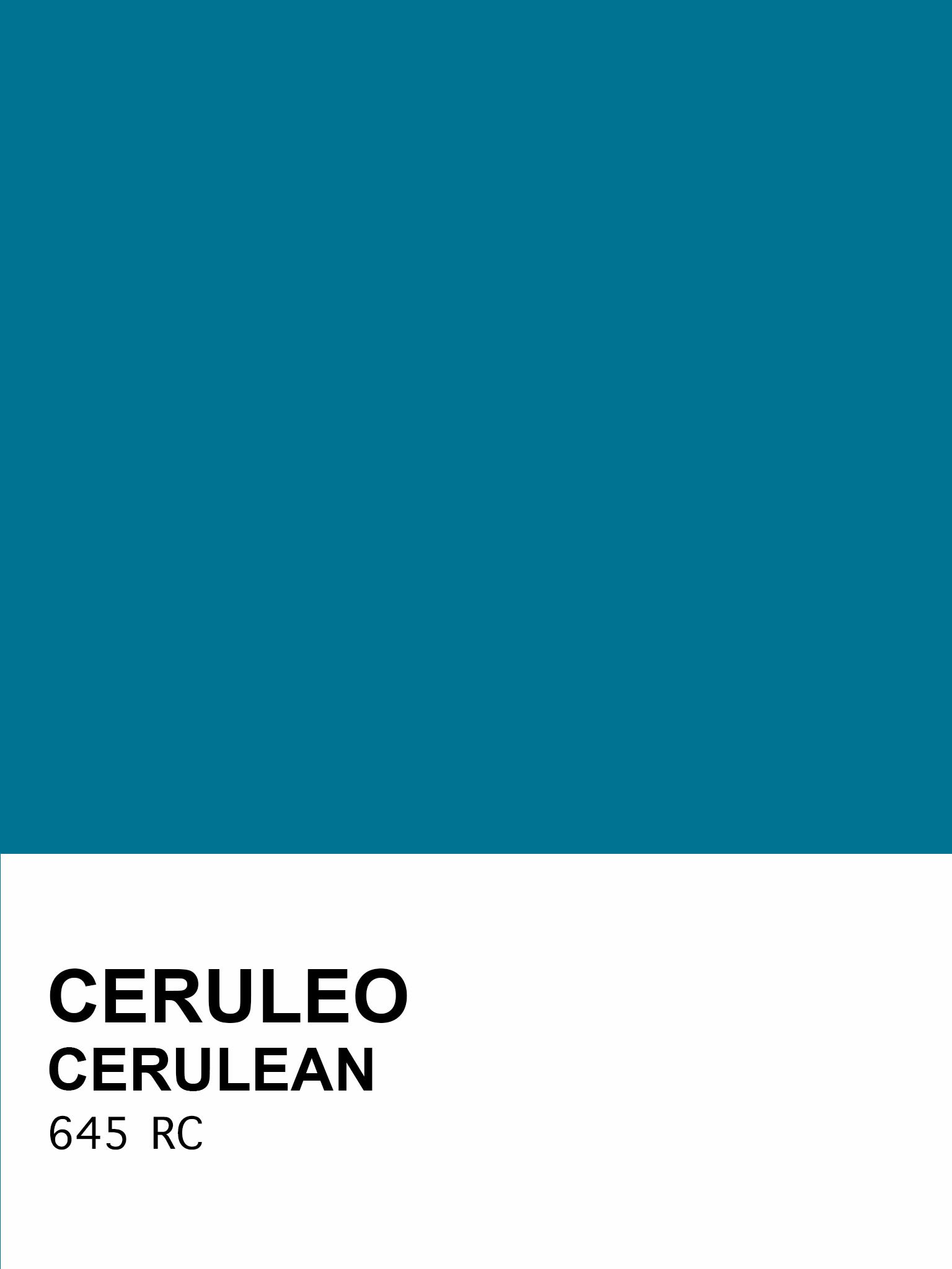 C_645.jpg