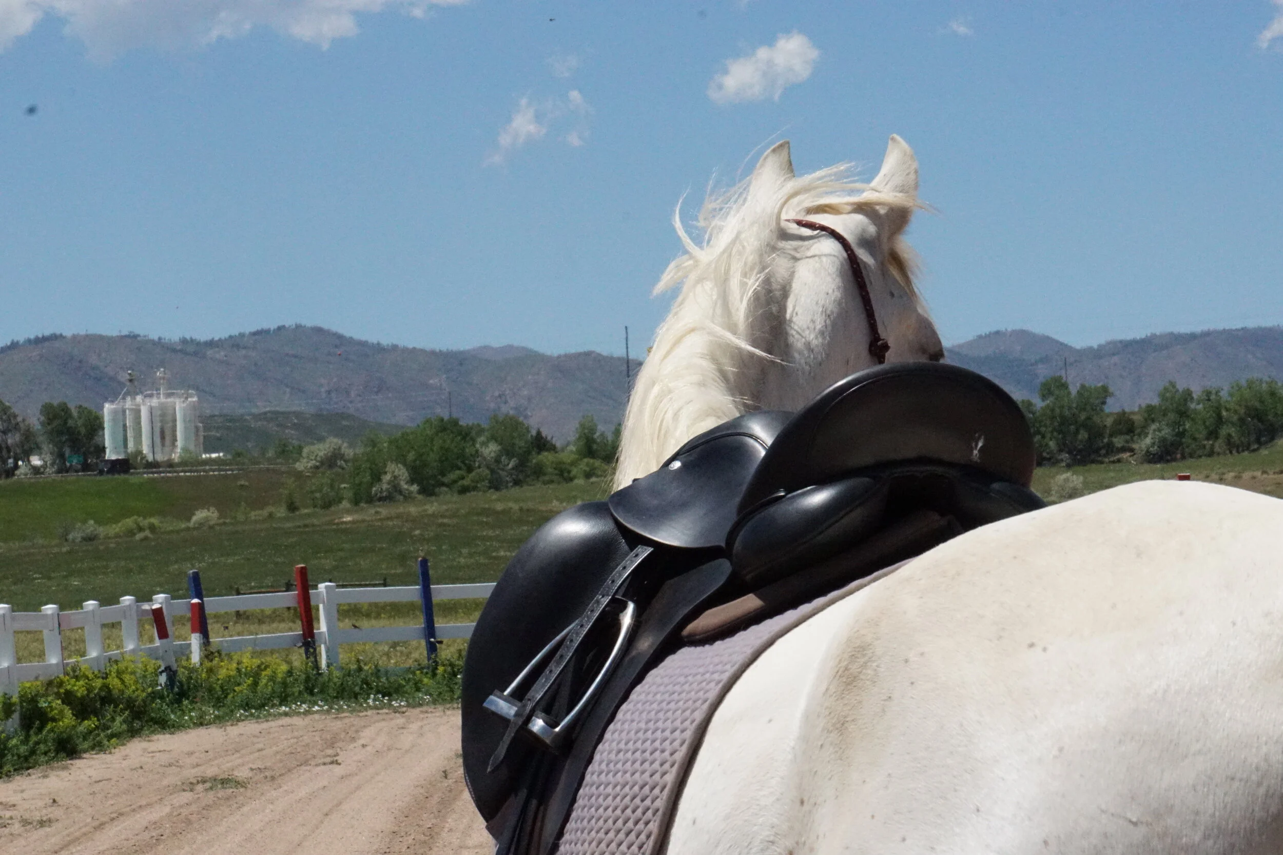 Horse Back Riding Lessons & Horse Training- Classical Horsemanship ...