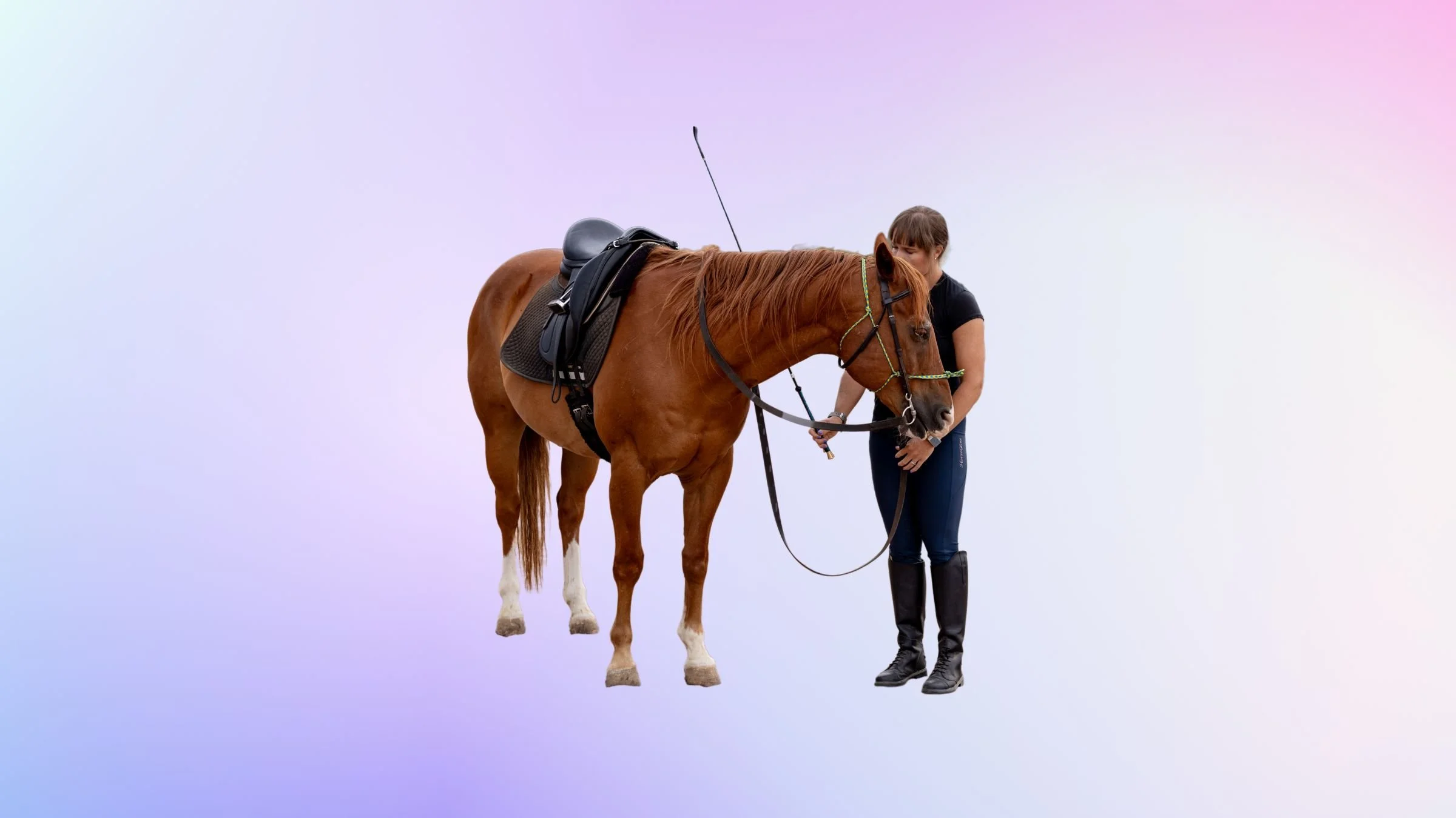 Untitled design (8).jpg