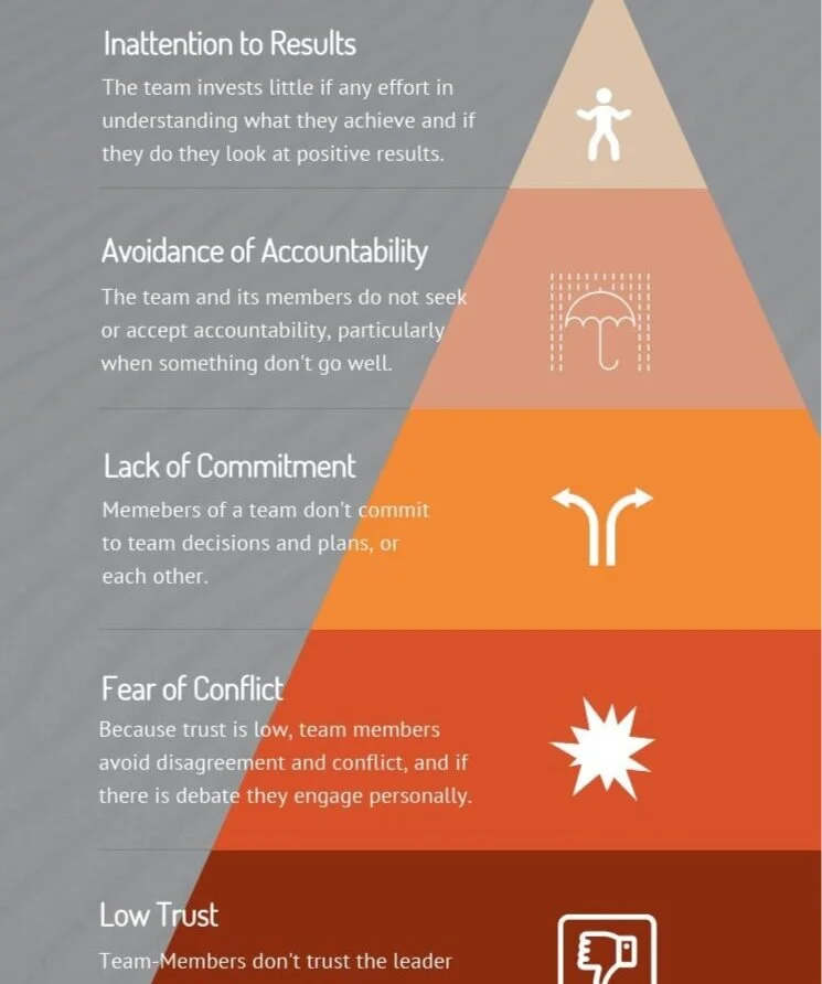 Patrick Lencioni's Five Dysfunctions of a Team &amp; What It Means in New Zealand