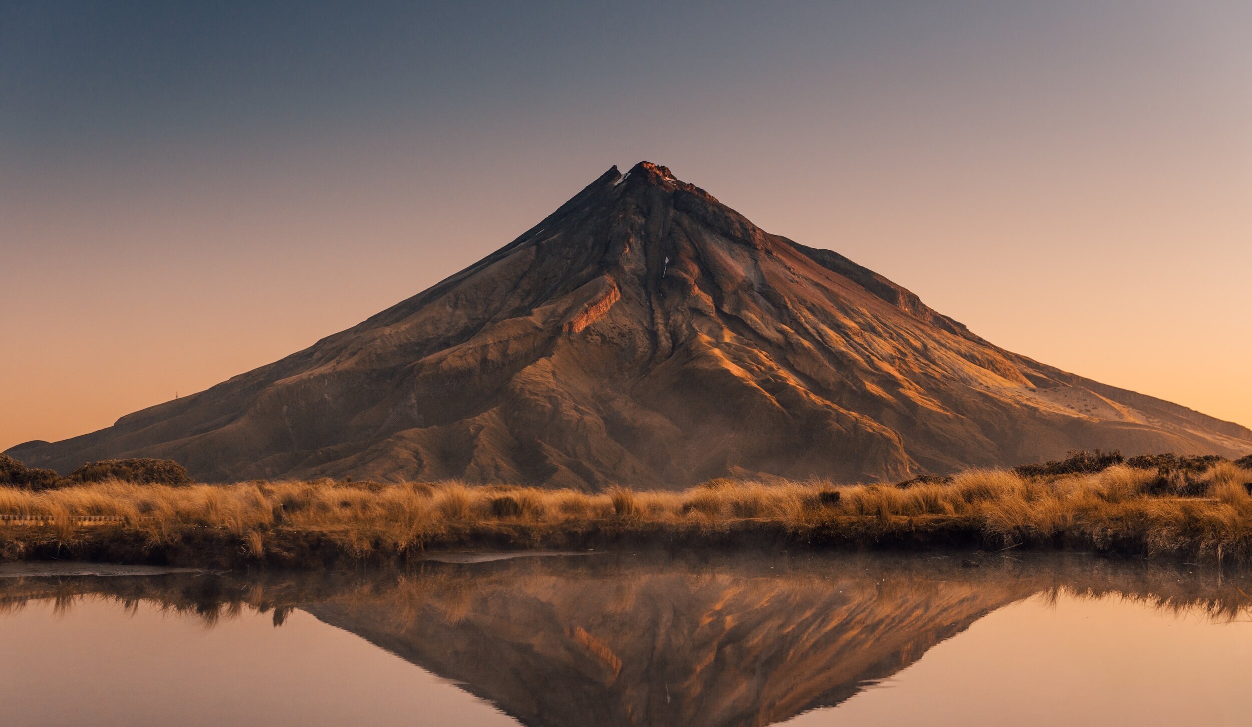 leadership and leadership team development