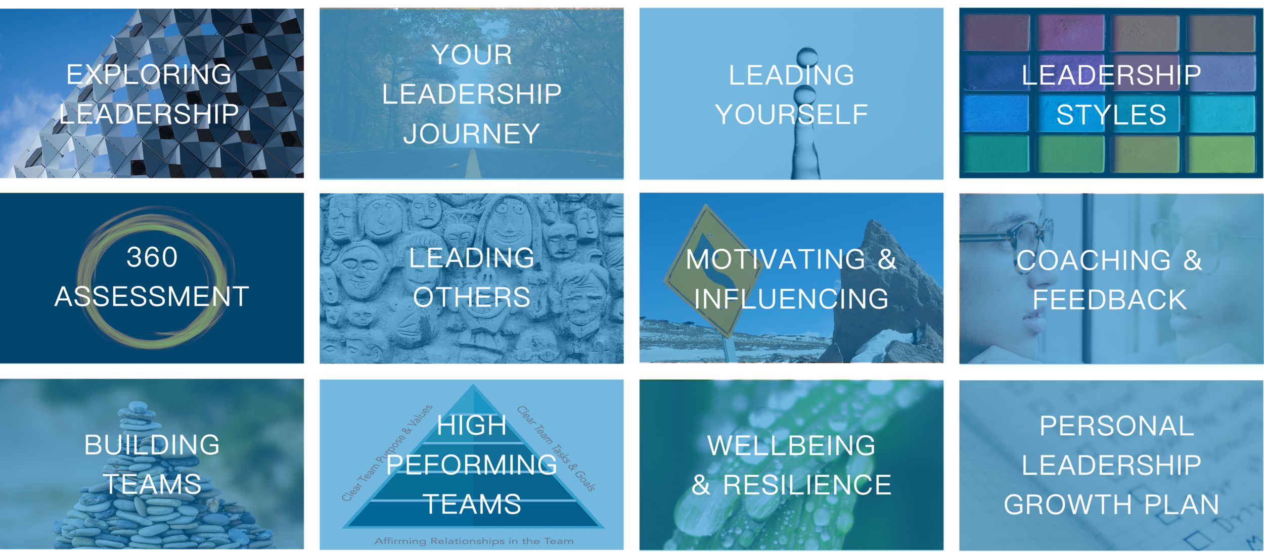 Leadership>Customised>Collage MASTER.png