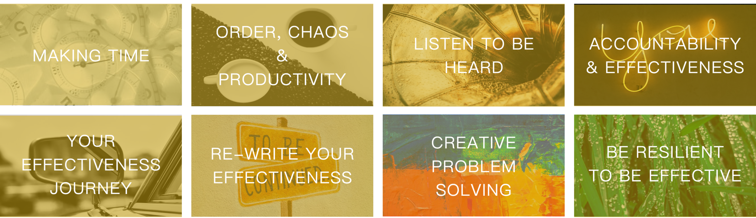 01 Leadership>PE>Collage.png