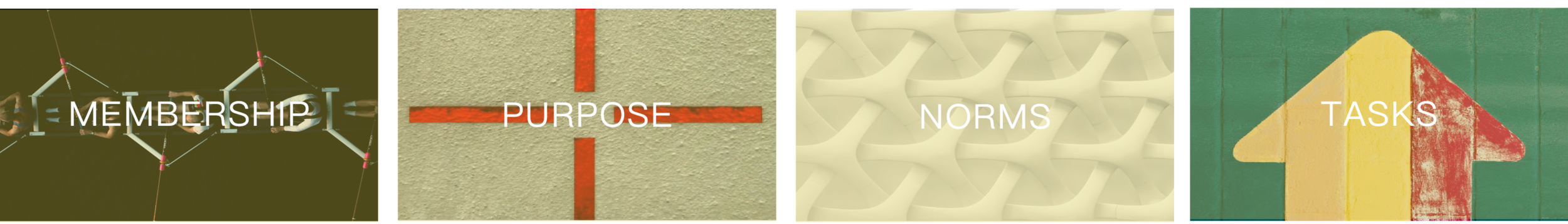 TEAMS - LT Collage.png