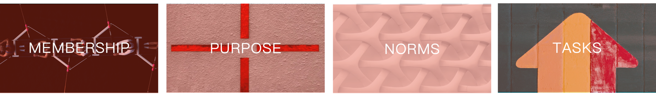 TEAMS - SLT Collage.png