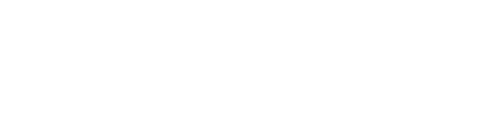 Contact Us About DISC — Archetype NZ