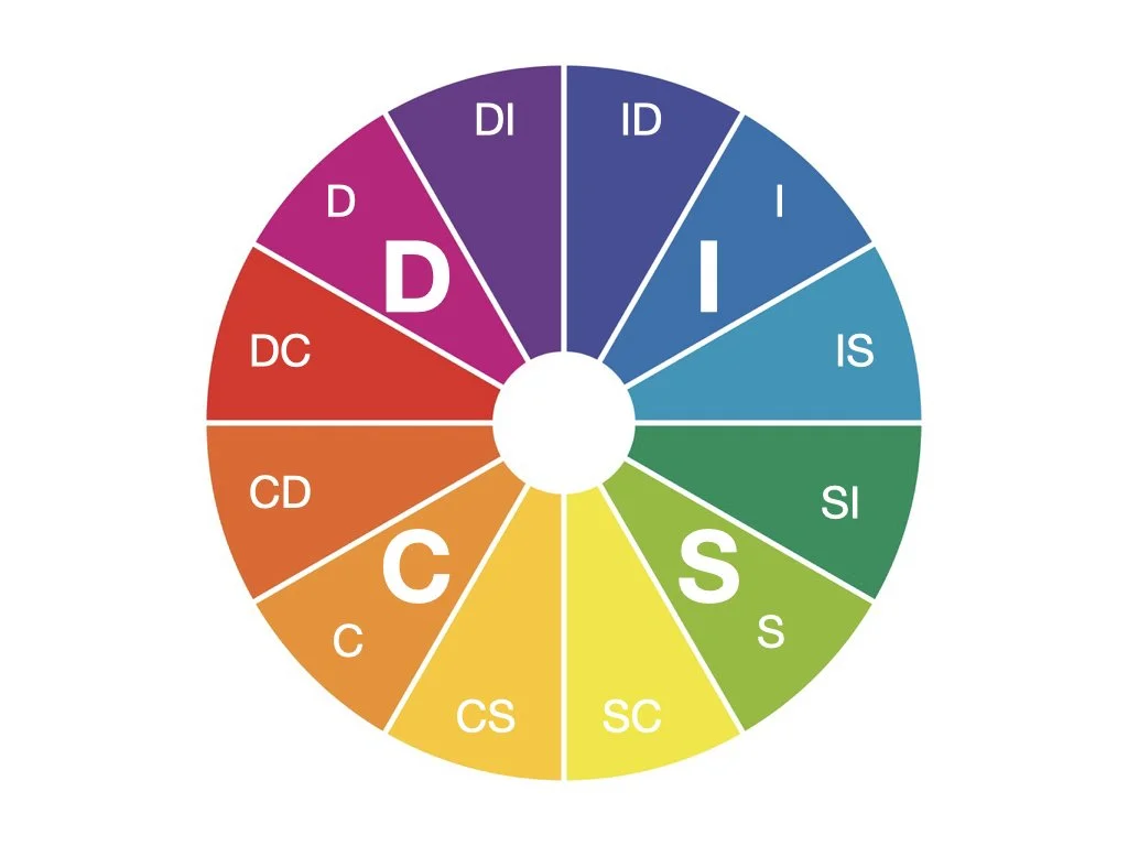Your DISC Style in 100 Words