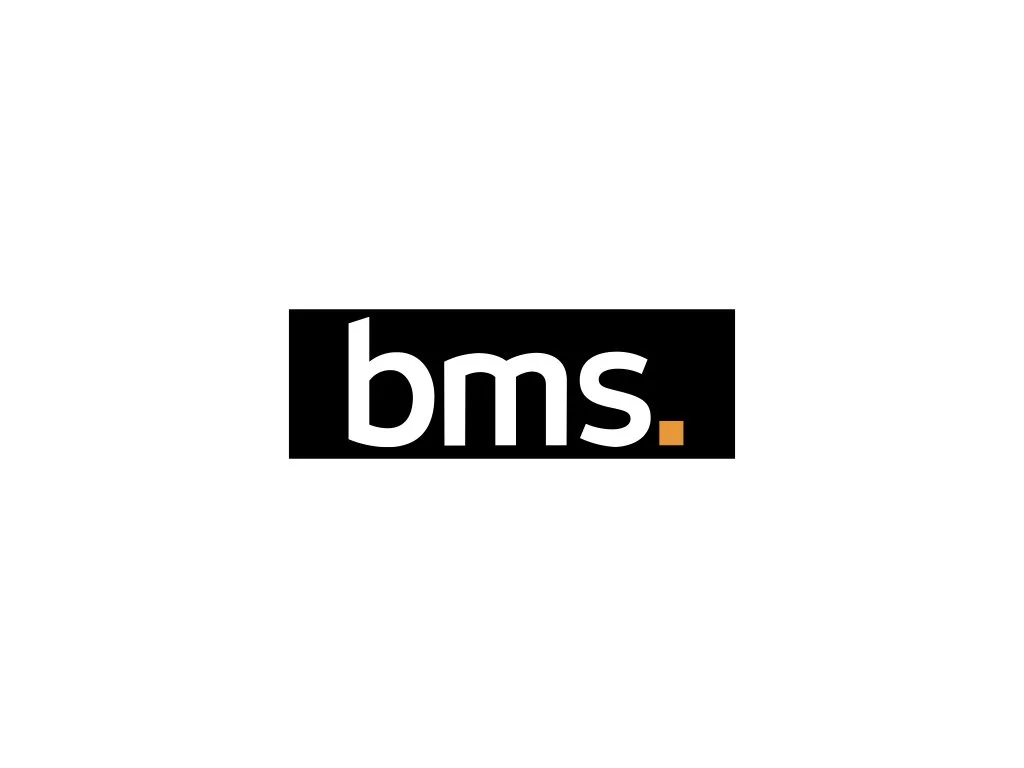 BMS Risk Solutions logo