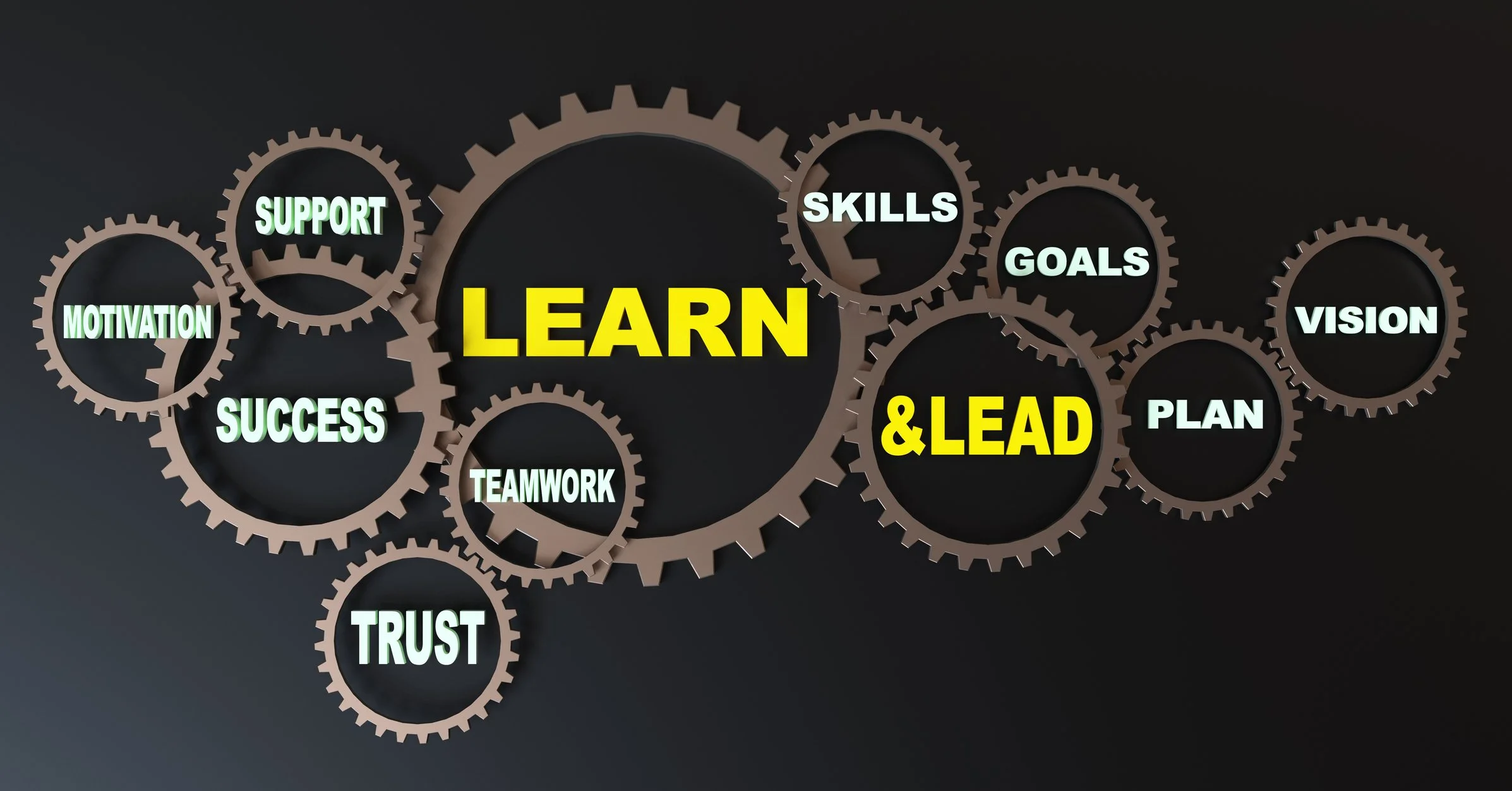 Cogs labelled Learn & Lead, skills, goals, teamwork, trust and vision