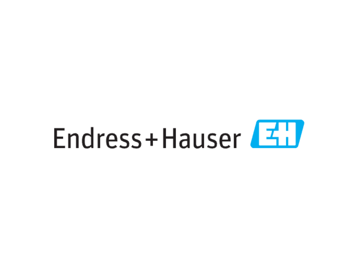 Endress+Hauser logo