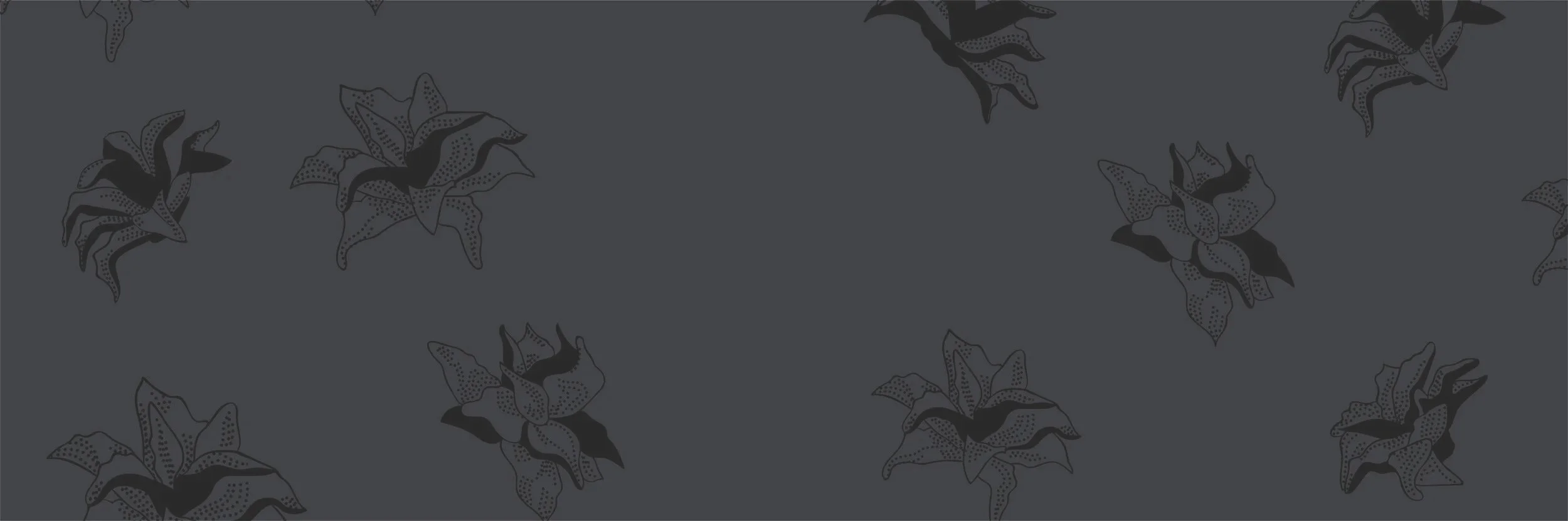 KevinBackground-HP-11.jpg