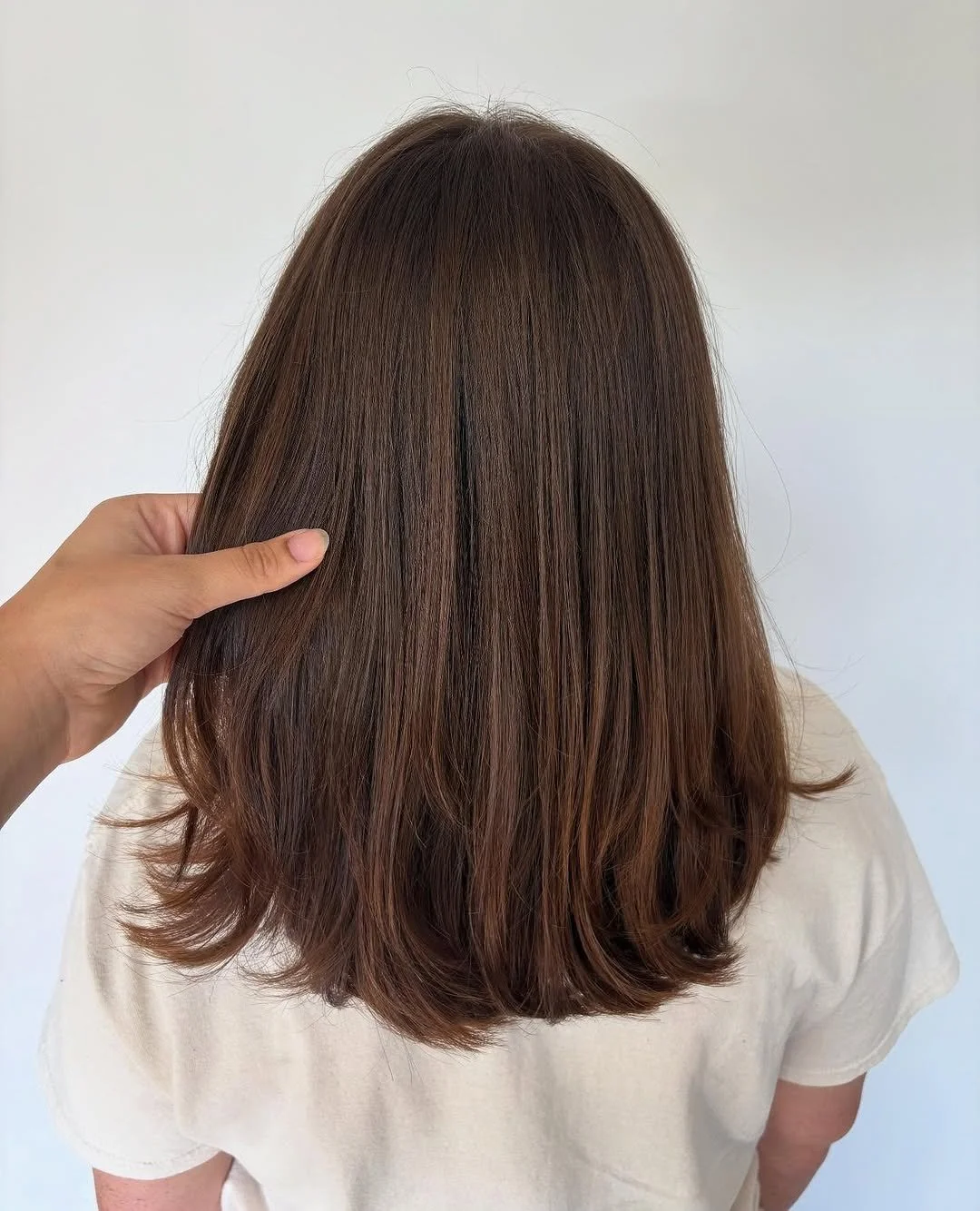  Back view of smooth, medium-length brunette hair with soft layered ends and natural dimension, styled by TEAL Hair &amp; Makeup Studio. 