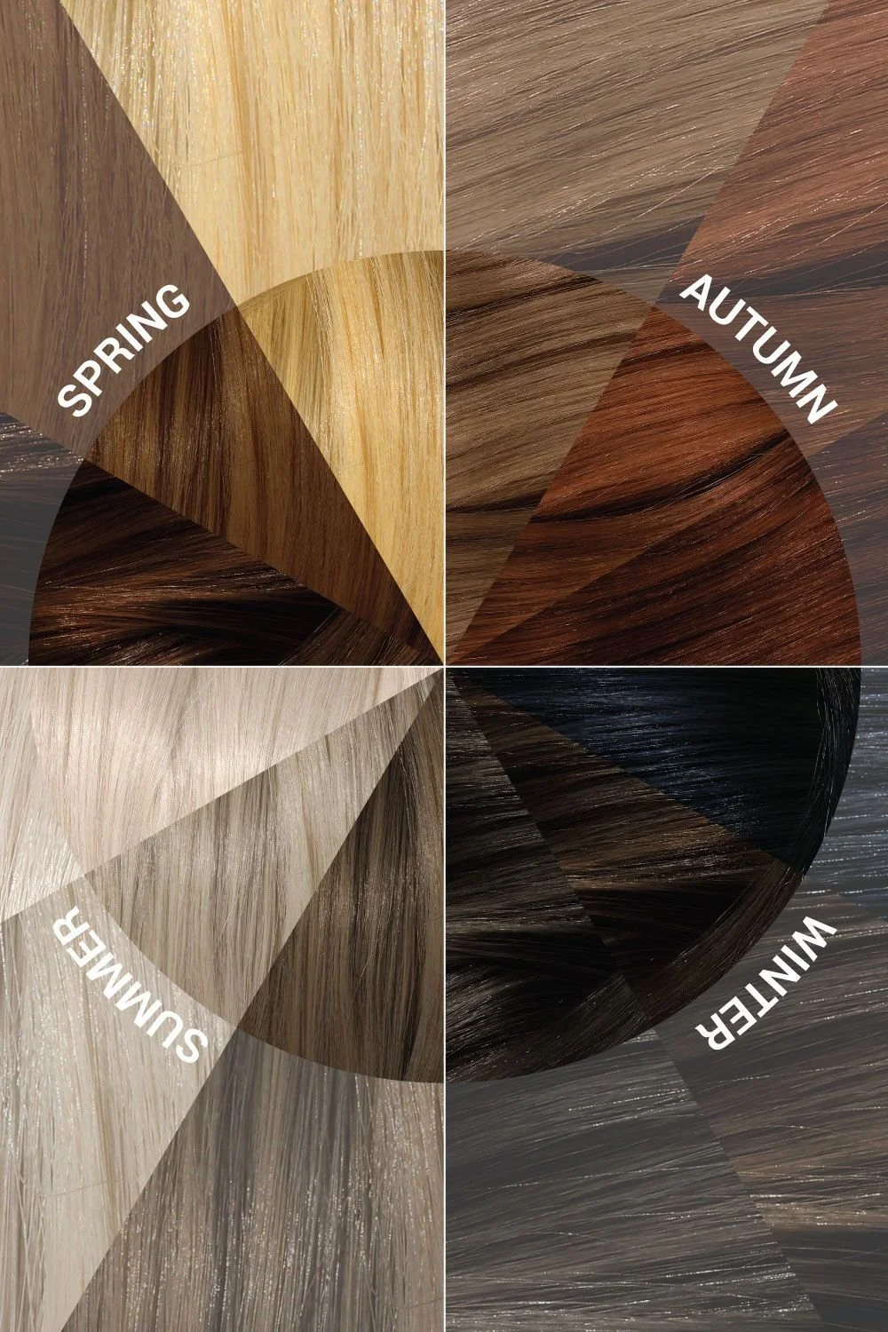 A four-panel graphic displays hair color swatches labeled Spring, Summer, Autumn, and Winter, showing seasonal variations in blonde, brown, and dark hair tones arranged in a circular design.