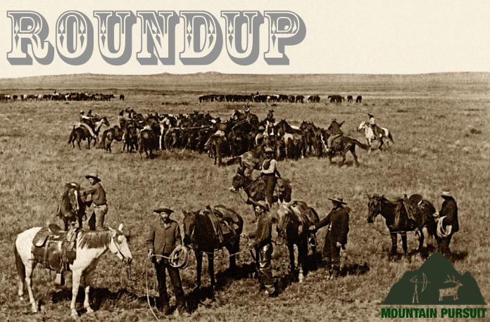 Roundup 02.27.2019