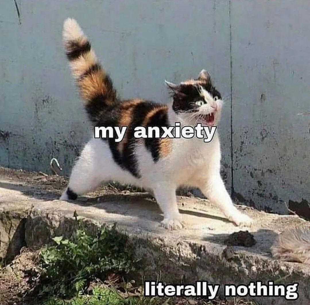 Feeling uber sensitive today.