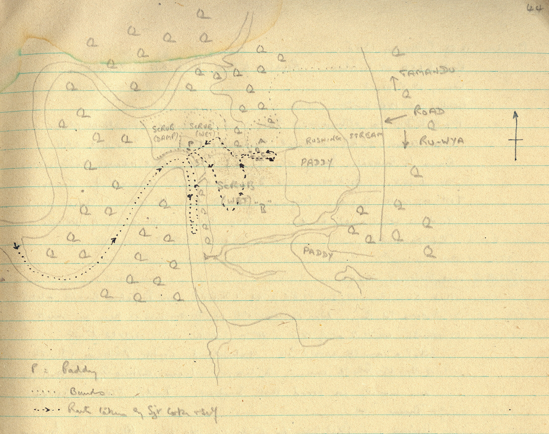 I feel like I have dug out the entire southeast portion of Ravenna. Am I  reading it wrong? I had a Ravenna map for another treasure before and I had  the same