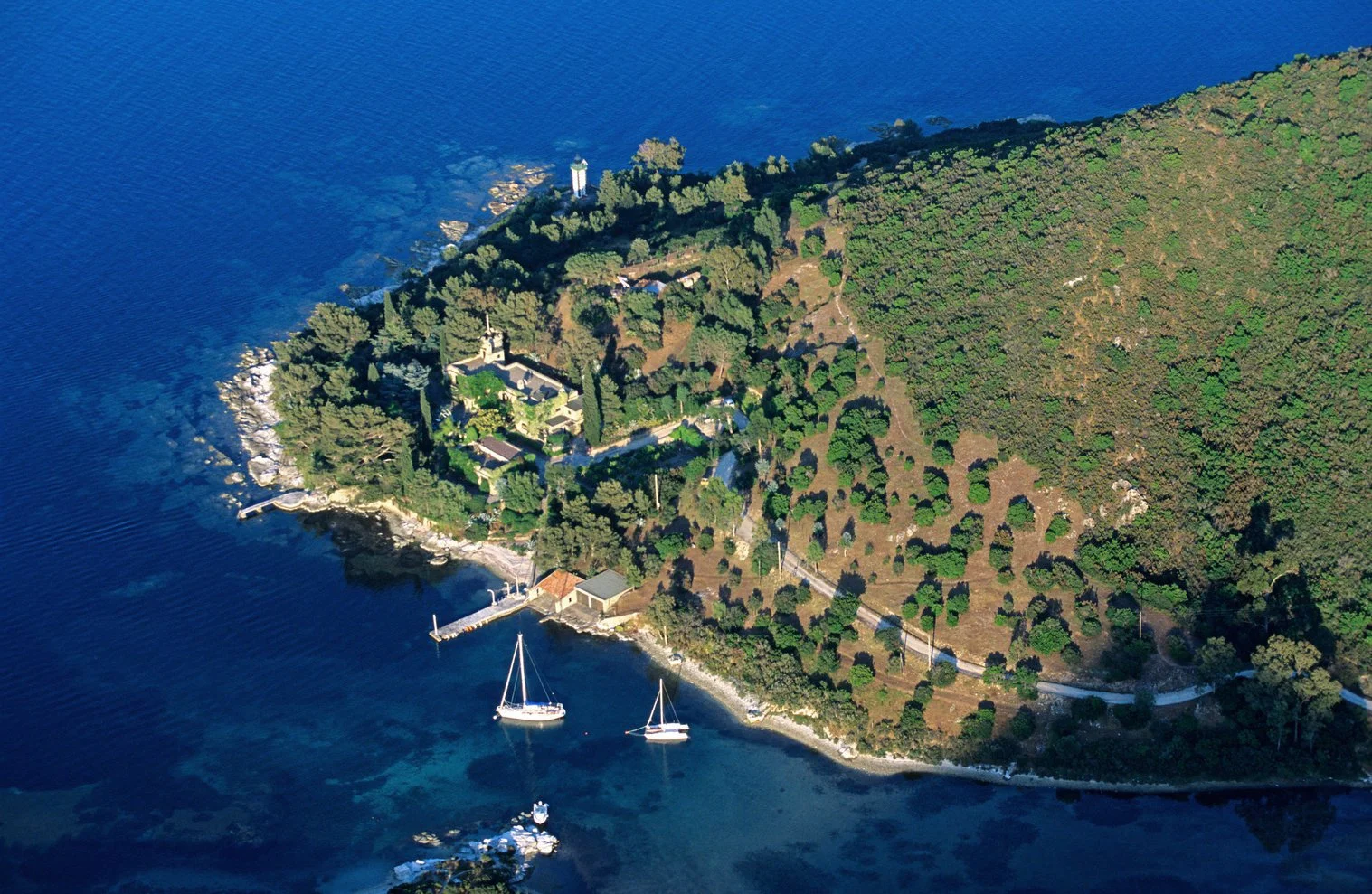 COPP Survey COPP 2 updates