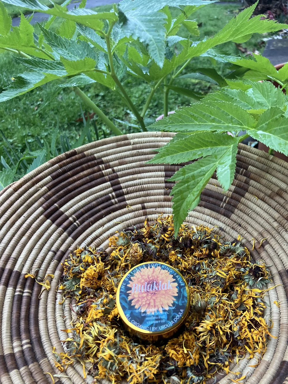 Medicine from the garden