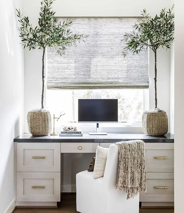 Nothing is better than an office space full of sunlight and LIFE! 🌞🌿
.
.
.
@puresaltinteriors 
#stephaniebramsoninteriordesign #losangelesinteriordesigner #olivertree #officedecor #officedesign #officegoals #homerenovation 
#modernhome #interior123