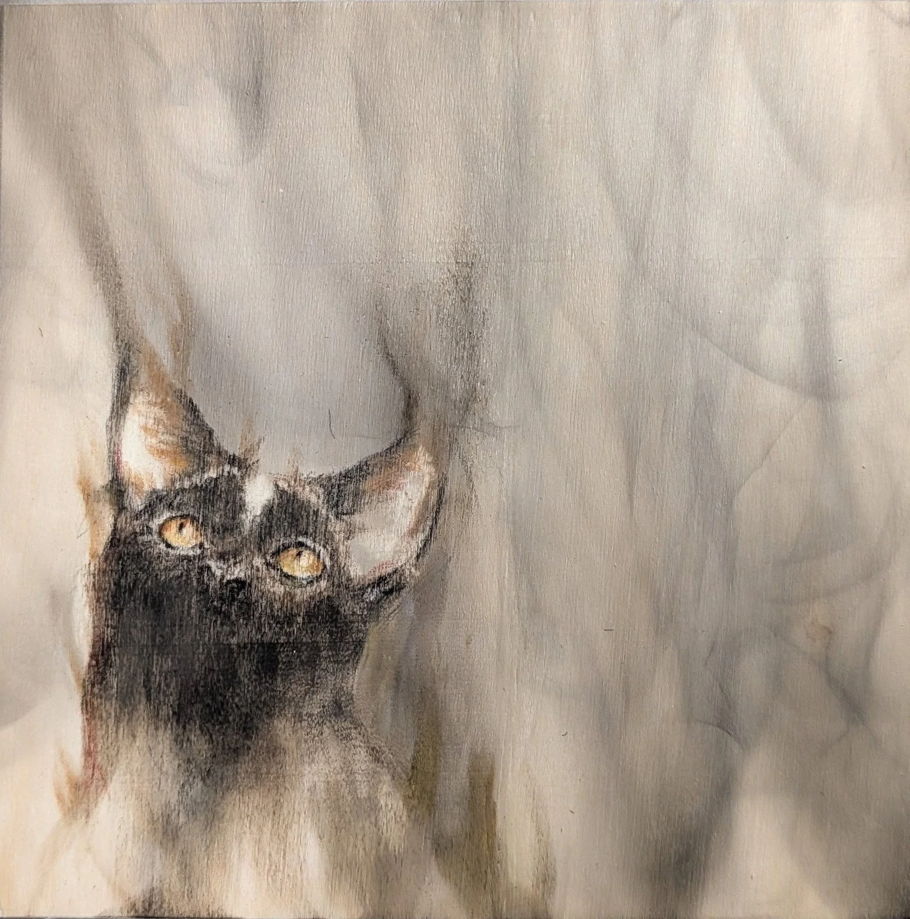 Smokey kitty.jpg