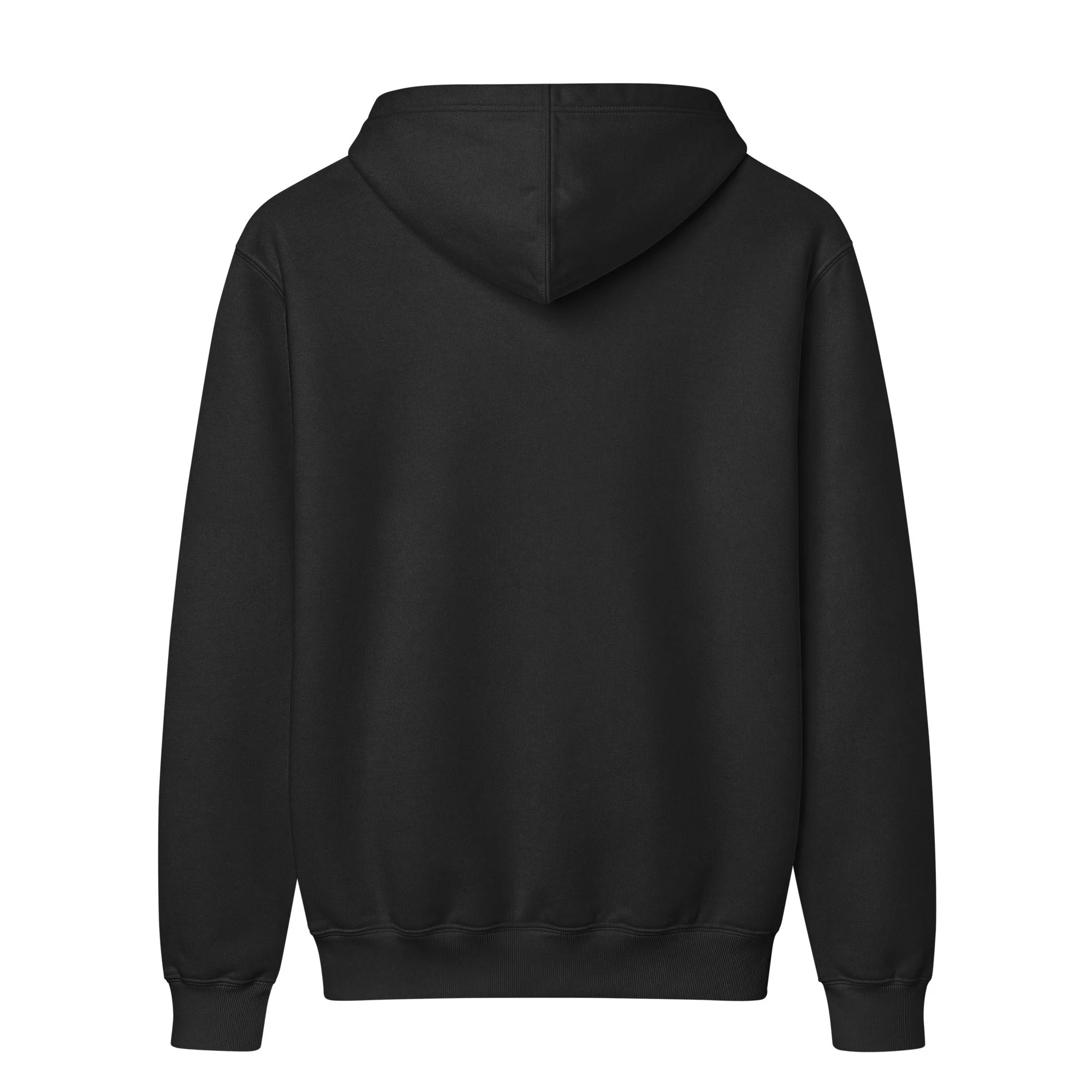 unisex-classic-hoodie-black-back-6a9f18244e3f0.jpg