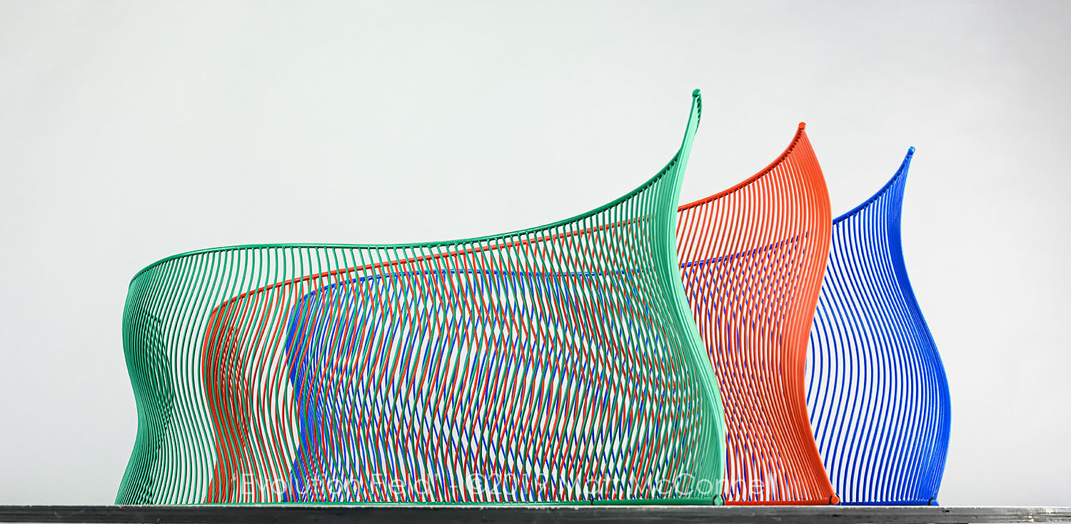 Evolution Field_05.jpg