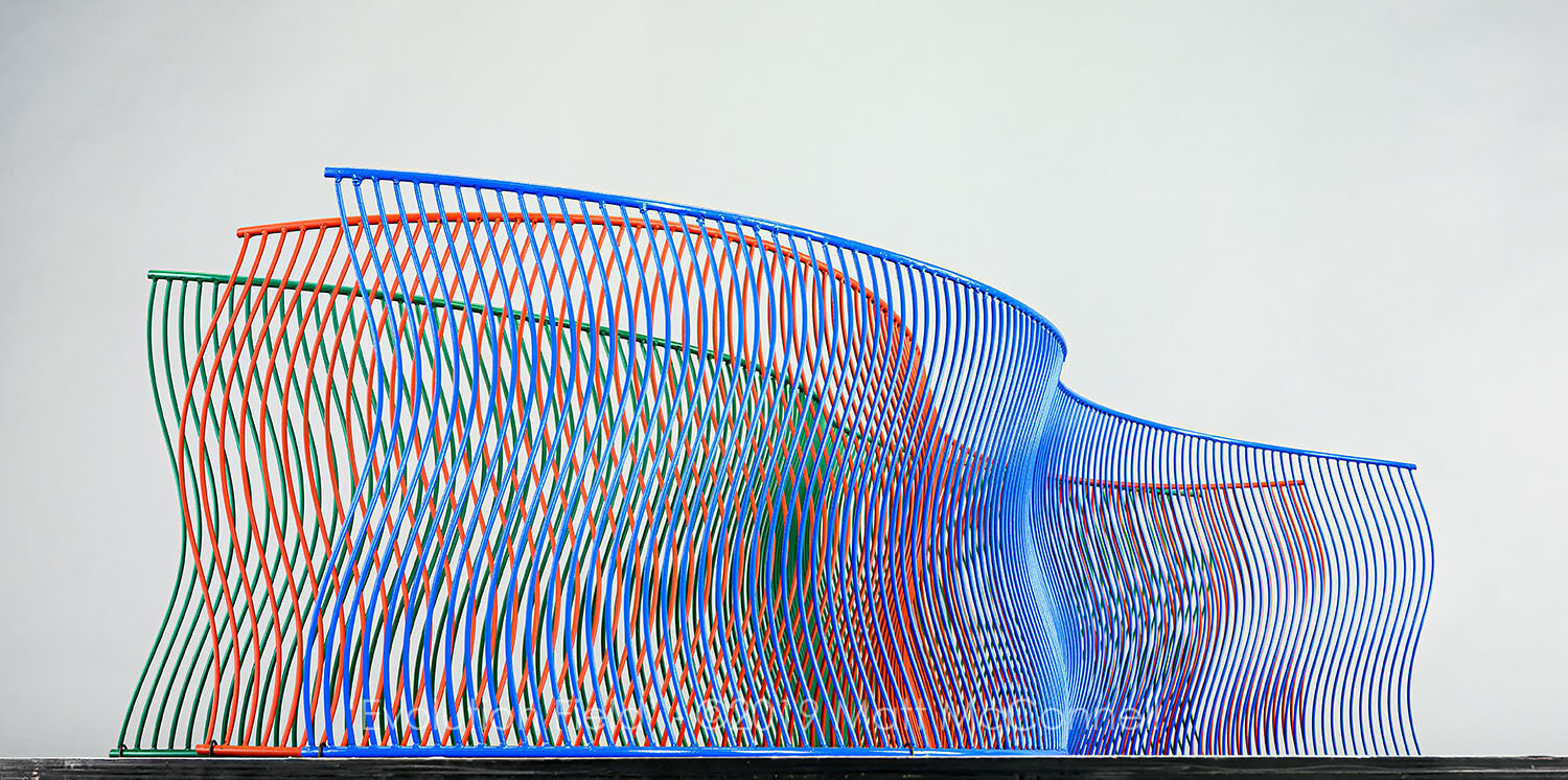 Evolution Field_08.jpg